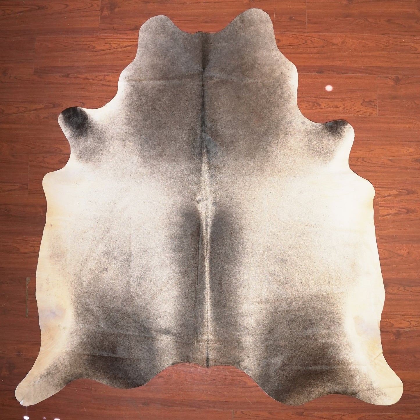 The Nguni Guy Nguni cowhide African decor Authentic cowhide Home decor Interior design Unique pattern Hand-selected Premium quality Natural beauty Exotic rug Genuine hide Statement piece Contemporary style Ethically sourced Sustainable decor Versatile accent Luxury rug Designer piece Modern aesthetic High-end craftsmanship Timeless elegance Designer home accents
