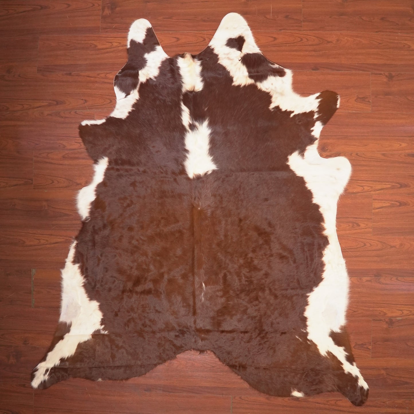 The Nguni Guy Nguni cowhide African decor Authentic cowhide Home decor Interior design Unique pattern Hand-selected Premium quality Natural beauty Exotic rug Genuine hide Statement piece Contemporary style Ethically sourced Sustainable decor Versatile accent Luxury rug Designer piece Modern aesthetic High-end craftsmanship Timeless elegance Designer home accents