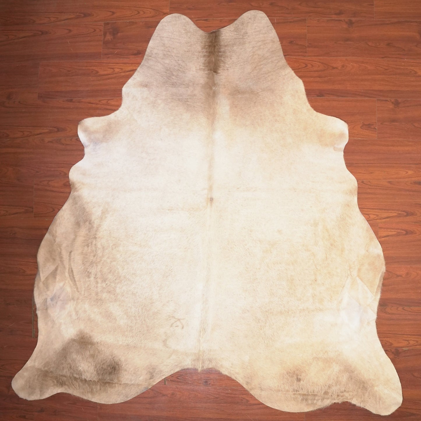 The Nguni Guy Nguni cowhide African decor Authentic cowhide Home decor Interior design Unique pattern Hand-selected Premium quality Natural beauty Exotic rug Genuine hide Statement piece Contemporary style Ethically sourced Sustainable decor Versatile accent Luxury rug Designer piece Modern aesthetic High-end craftsmanship Timeless elegance Designer home accents
