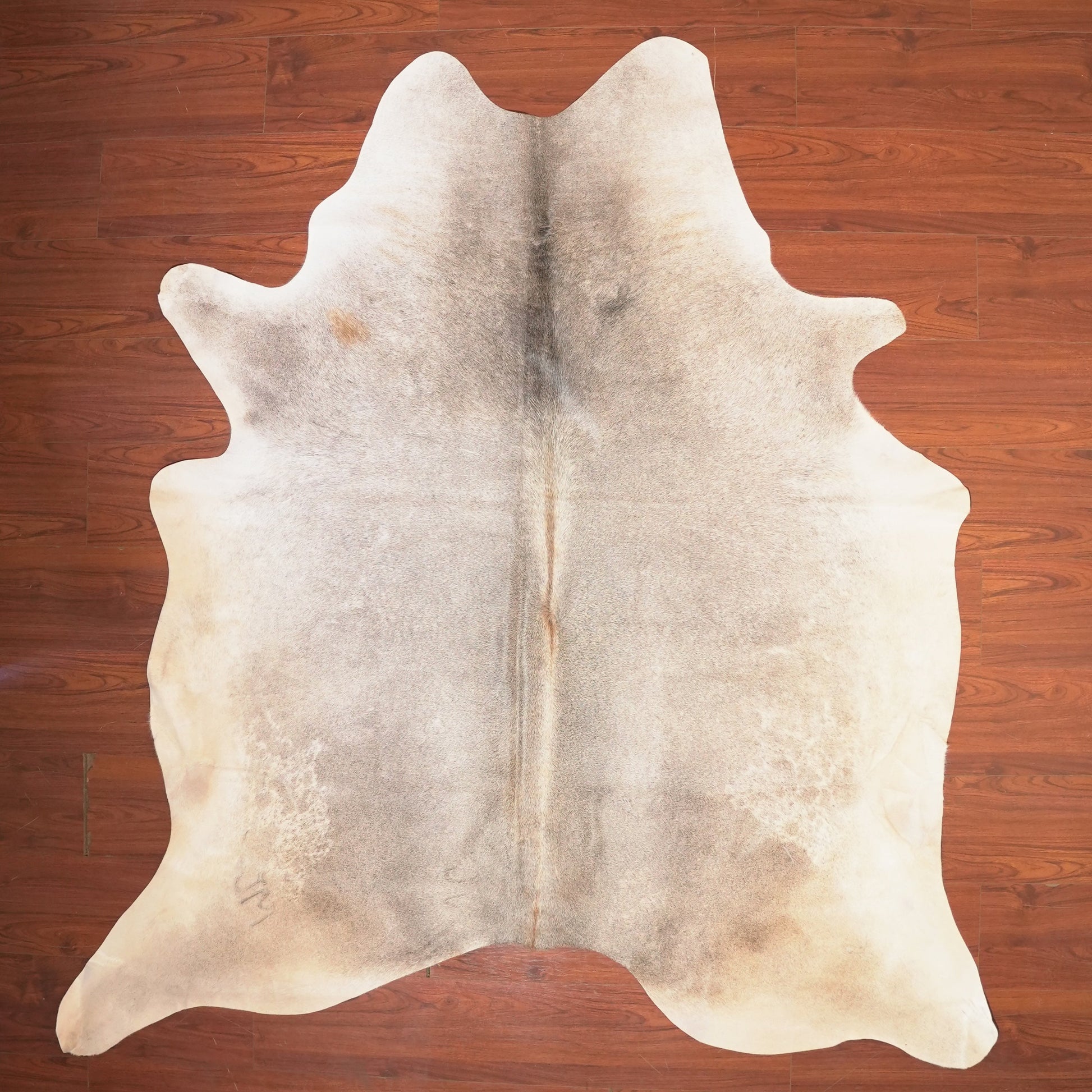 The Nguni Guy Nguni cowhide African decor Authentic cowhide Home decor Interior design Unique pattern Hand-selected Premium quality Natural beauty Exotic rug Genuine hide Statement piece Contemporary style Ethically sourced Sustainable decor Versatile accent Luxury rug Designer piece Modern aesthetic High-end craftsmanship Timeless elegance Designer home accents

