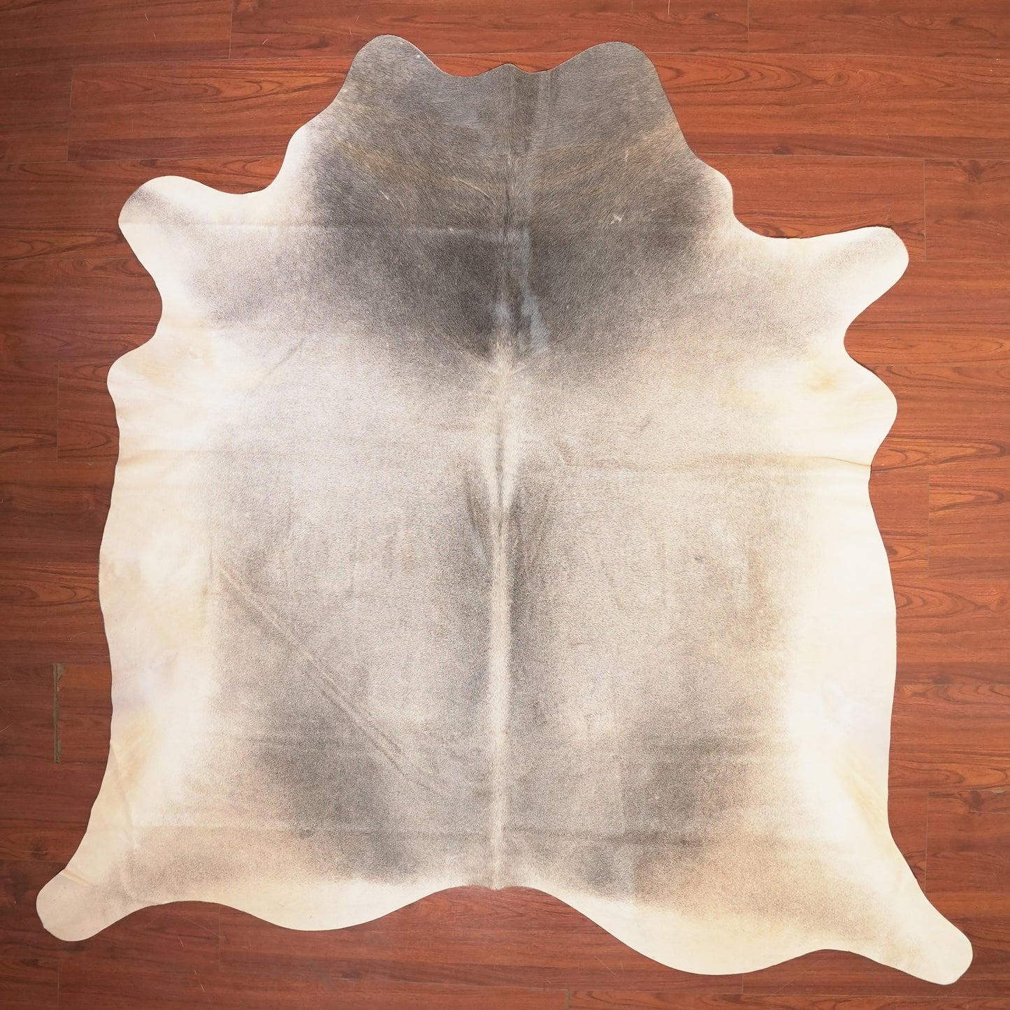 The Nguni Guy Nguni cowhide African decor Authentic cowhide Home decor Interior design Unique pattern Hand-selected Premium quality Natural beauty Exotic rug Genuine hide Statement piece Contemporary style Ethically sourced Sustainable decor Versatile accent Luxury rug Designer piece Modern aesthetic High-end craftsmanship Timeless elegance Designer home accents
