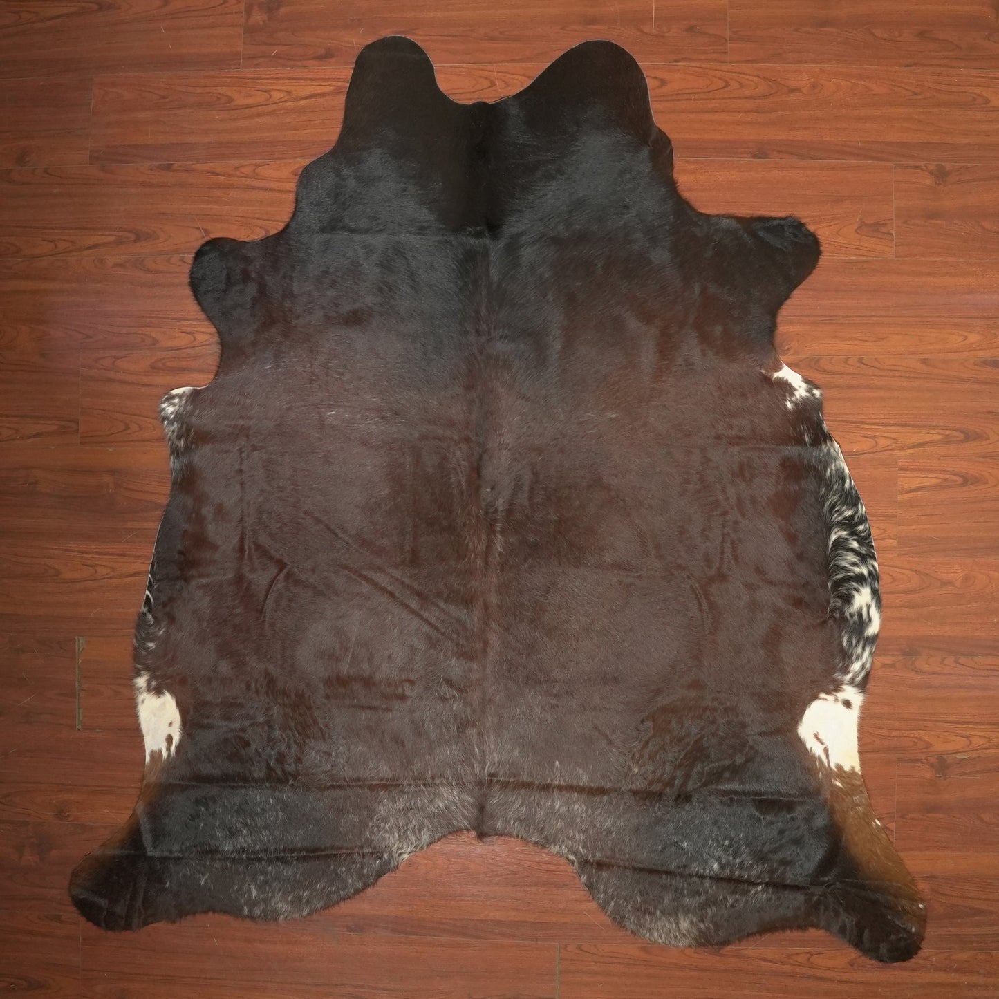 The Nguni Guy Nguni cowhide African decor Authentic cowhide Home decor Interior design Unique pattern Hand-selected Premium quality Natural beauty Exotic rug Genuine hide Statement piece Contemporary style Ethically sourced Sustainable decor Versatile accent Luxury rug Designer piece Modern aesthetic High-end craftsmanship Timeless elegance Designer home accents
