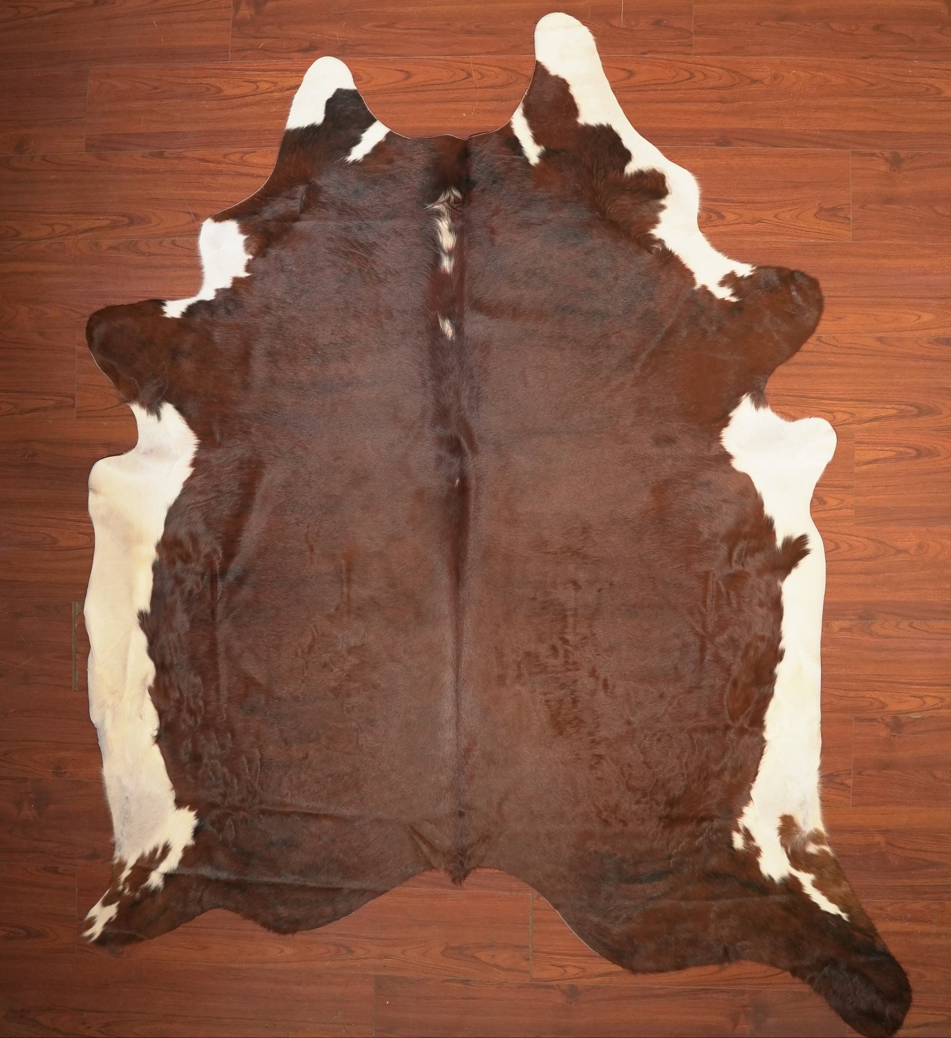 The Nguni Guy Nguni cowhide African decor Authentic cowhide Home decor Interior design Unique pattern Hand-selected Premium quality Natural beauty Exotic rug Genuine hide Statement piece Contemporary style Ethically sourced Sustainable decor Versatile accent Luxury rug Designer piece Modern aesthetic High-end craftsmanship Timeless elegance Designer home accents
