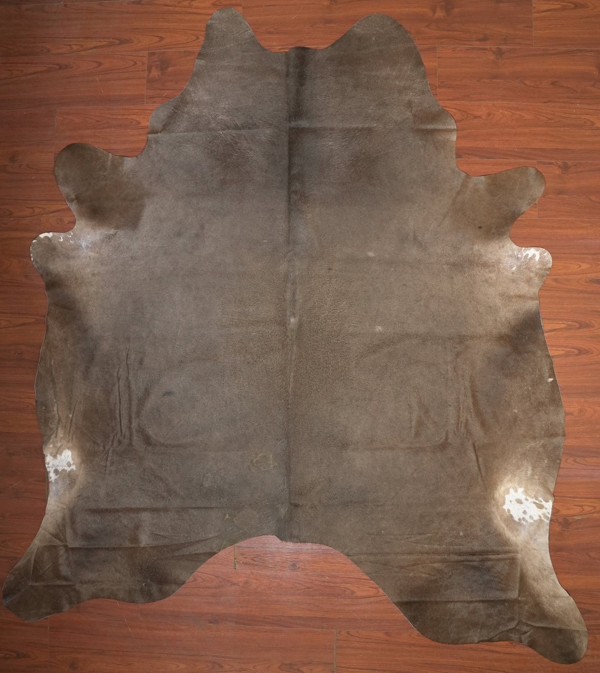 The Nguni Guy Nguni cowhide African decor Authentic cowhide Home decor Interior design Unique pattern Hand-selected Premium quality Natural beauty Exotic rug Genuine hide Statement piece Contemporary style Ethically sourced Sustainable decor Versatile accent Luxury rug Designer piece Modern aesthetic High-end craftsmanship Timeless elegance Designer home accents
