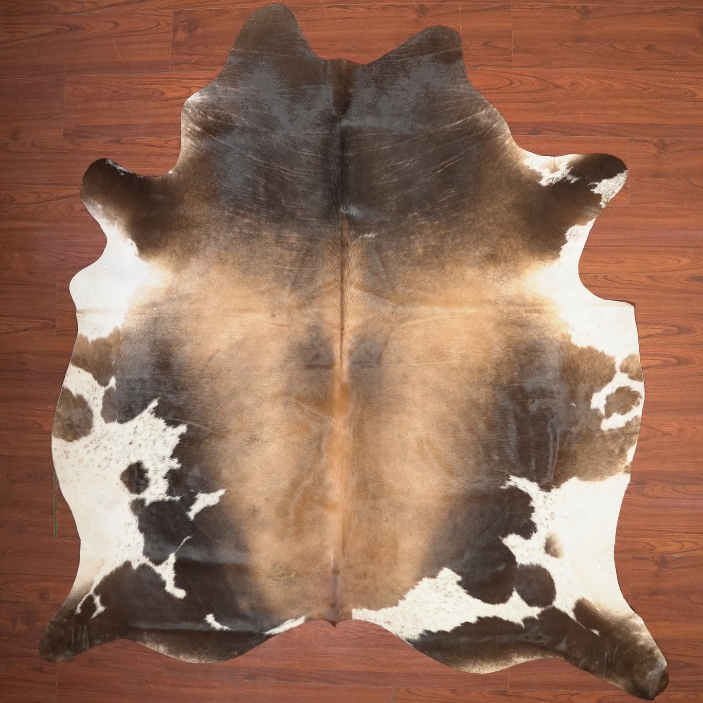 The Nguni Guy Nguni cowhide African decor Authentic cowhide Home decor Interior design Unique pattern Hand-selected Premium quality Natural beauty Exotic rug Genuine hide Statement piece Contemporary style Ethically sourced Sustainable decor Versatile accent Luxury rug Designer piece Modern aesthetic High-end craftsmanship Timeless elegance Designer home accents
