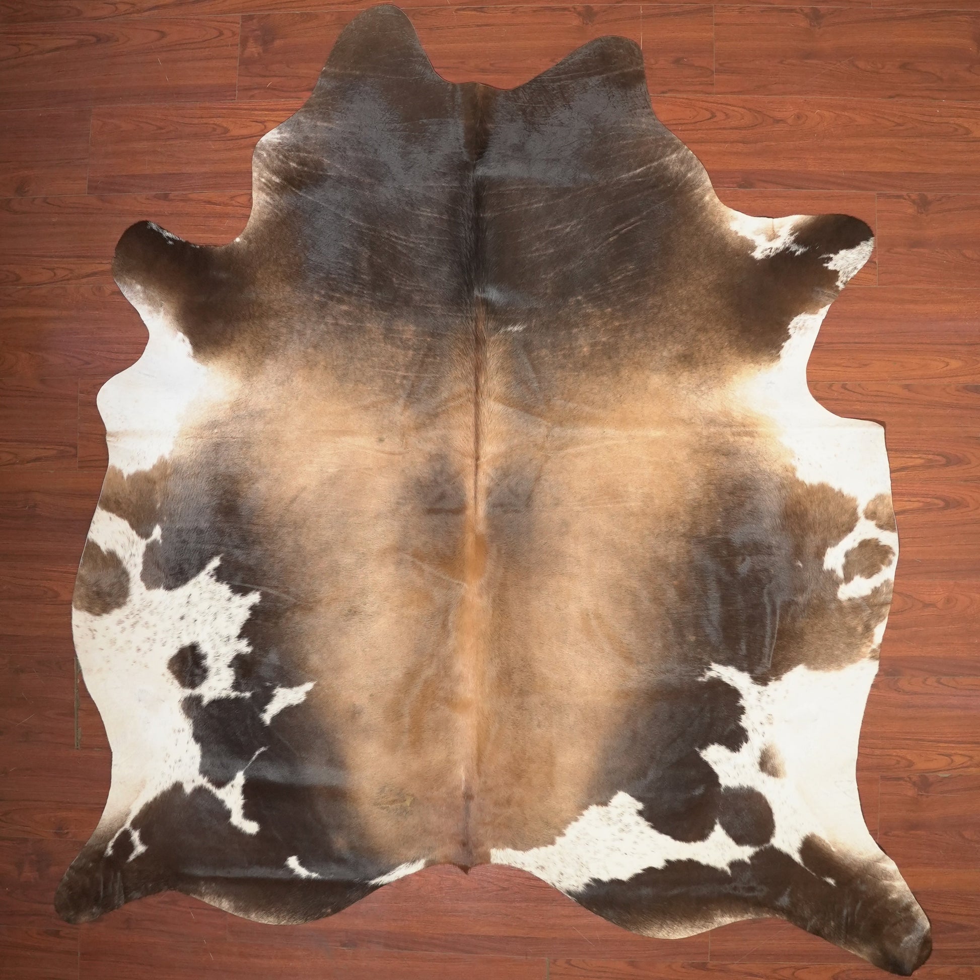 The Nguni Guy Nguni cowhide African decor Authentic cowhide Home decor Interior design Unique pattern Hand-selected Premium quality Natural beauty Exotic rug Genuine hide Statement piece Contemporary style Ethically sourced Sustainable decor Versatile accent Luxury rug Designer piece Modern aesthetic High-end craftsmanship Timeless elegance Designer home accents
