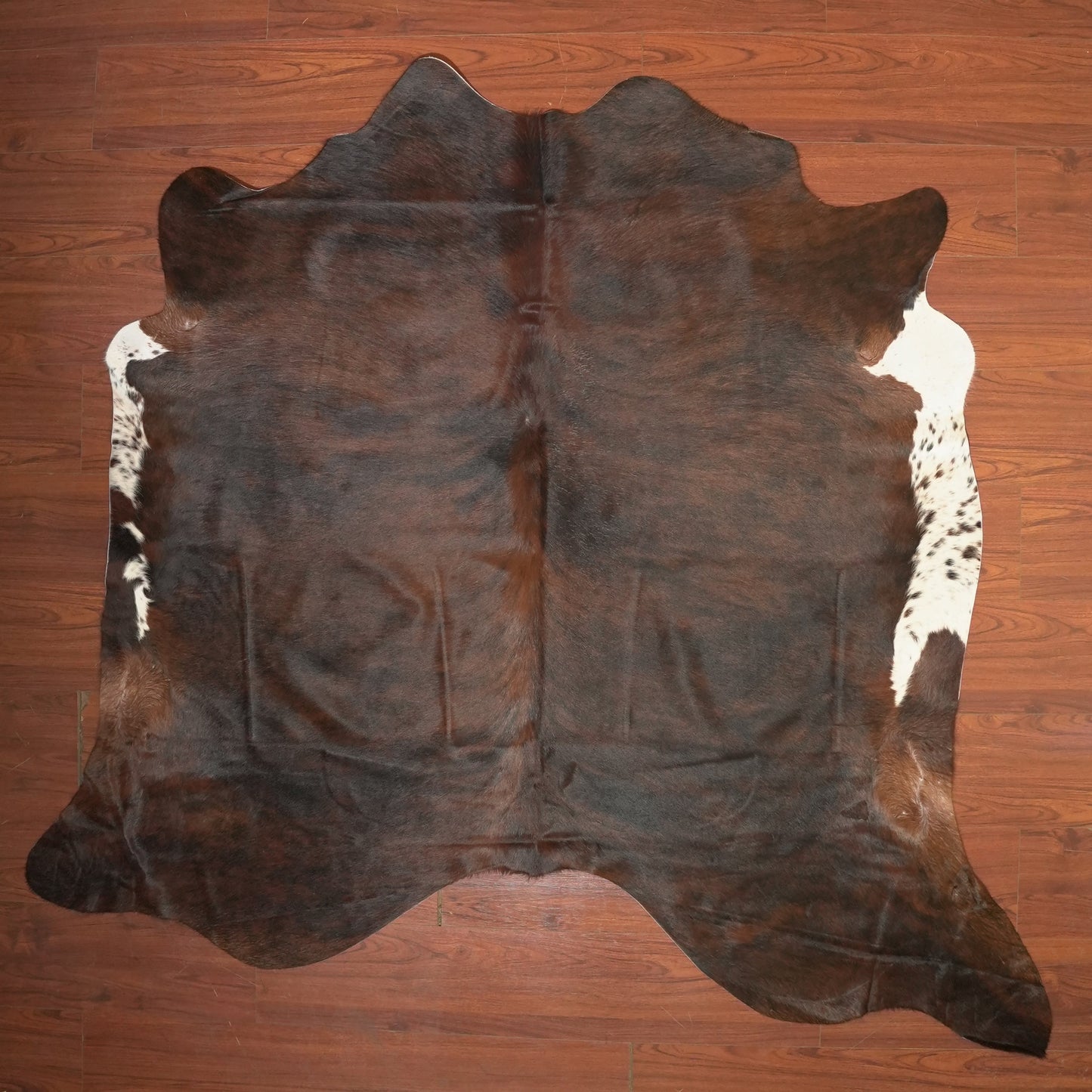 The Nguni Guy Nguni cowhide African decor Authentic cowhide Home decor Interior design Unique pattern Hand-selected Premium quality Natural beauty Exotic rug Genuine hide Statement piece Contemporary style Ethically sourced Sustainable decor Versatile accent Luxury rug Designer piece Modern aesthetic High-end craftsmanship Timeless elegance Designer home accents
