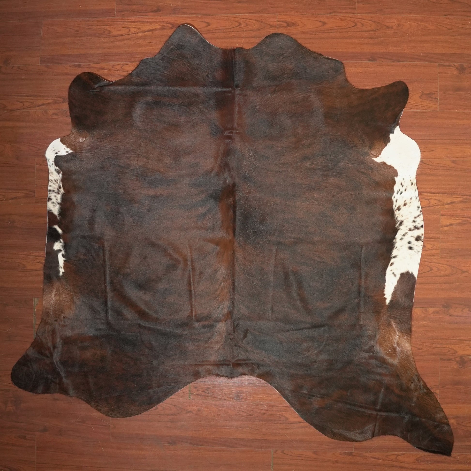 The Nguni Guy Nguni cowhide African decor Authentic cowhide Home decor Interior design Unique pattern Hand-selected Premium quality Natural beauty Exotic rug Genuine hide Statement piece Contemporary style Ethically sourced Sustainable decor Versatile accent Luxury rug Designer piece Modern aesthetic High-end craftsmanship Timeless elegance Designer home accents
