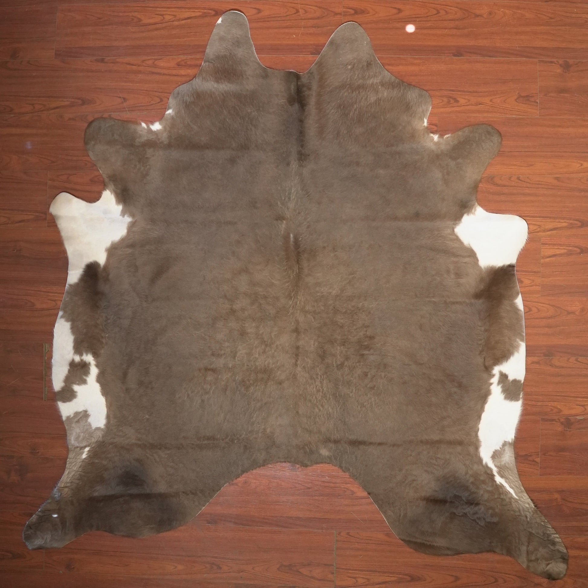 The Nguni Guy Nguni cowhide African decor Authentic cowhide Home decor Interior design Unique pattern Hand-selected Premium quality Natural beauty Exotic rug Genuine hide Statement piece Contemporary style Ethically sourced Sustainable decor Versatile accent Luxury rug Designer piece Modern aesthetic High-end craftsmanship Timeless elegance Designer home accents
