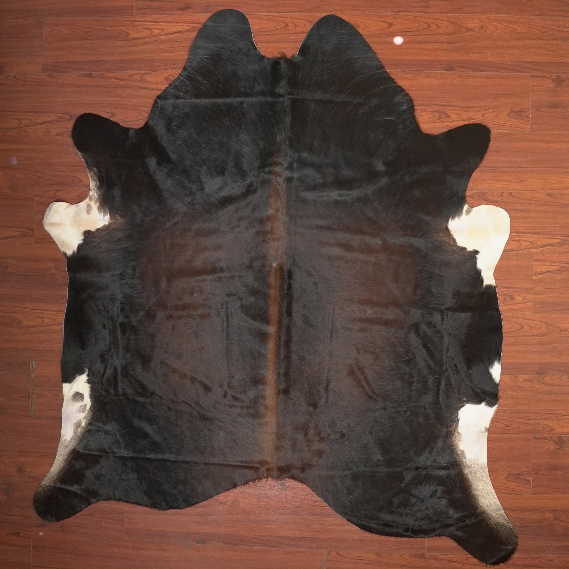 The Nguni Guy Nguni cowhide African decor Authentic cowhide Home decor Interior design Unique pattern Hand-selected Premium quality Natural beauty Exotic rug Genuine hide Statement piece Contemporary style Ethically sourced Sustainable decor Versatile accent Luxury rug Designer piece Modern aesthetic High-end craftsmanship Timeless elegance Designer home accents
