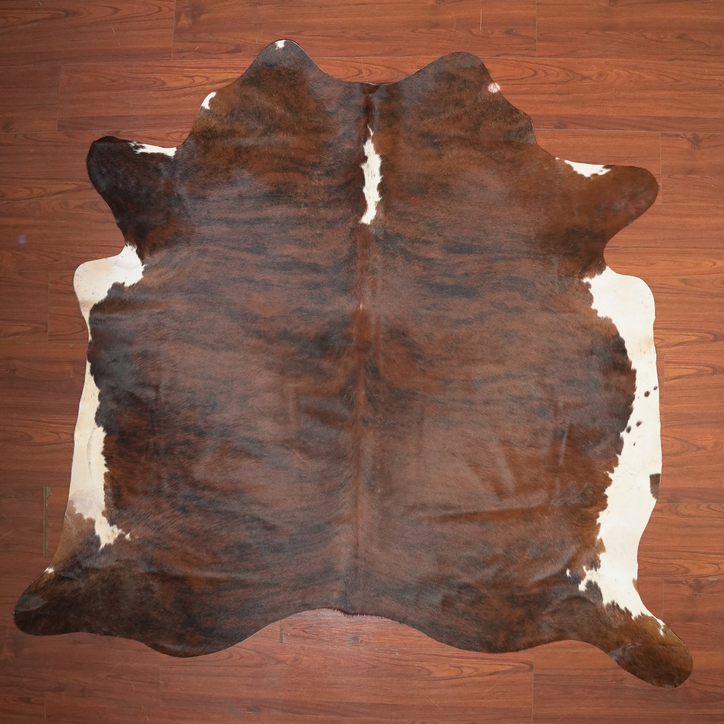The Nguni Guy Nguni cowhide African decor Authentic cowhide Home decor Interior design Unique pattern Hand-selected Premium quality Natural beauty Exotic rug Genuine hide Statement piece Contemporary style Ethically sourced Sustainable decor Versatile accent Luxury rug Designer piece Modern aesthetic High-end craftsmanship Timeless elegance Designer home accents
