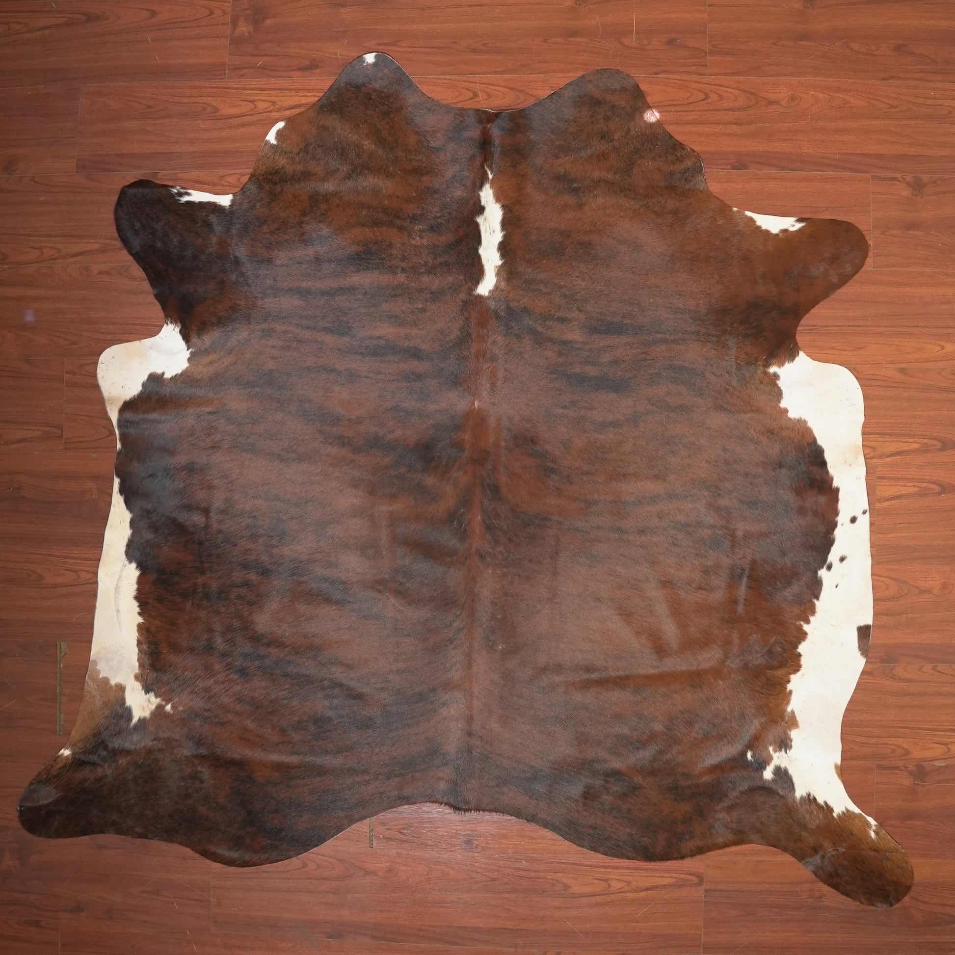 The Nguni Guy Nguni cowhide African decor Authentic cowhide Home decor Interior design Unique pattern Hand-selected Premium quality Natural beauty Exotic rug Genuine hide Statement piece Contemporary style Ethically sourced Sustainable decor Versatile accent Luxury rug Designer piece Modern aesthetic High-end craftsmanship Timeless elegance Designer home accents
