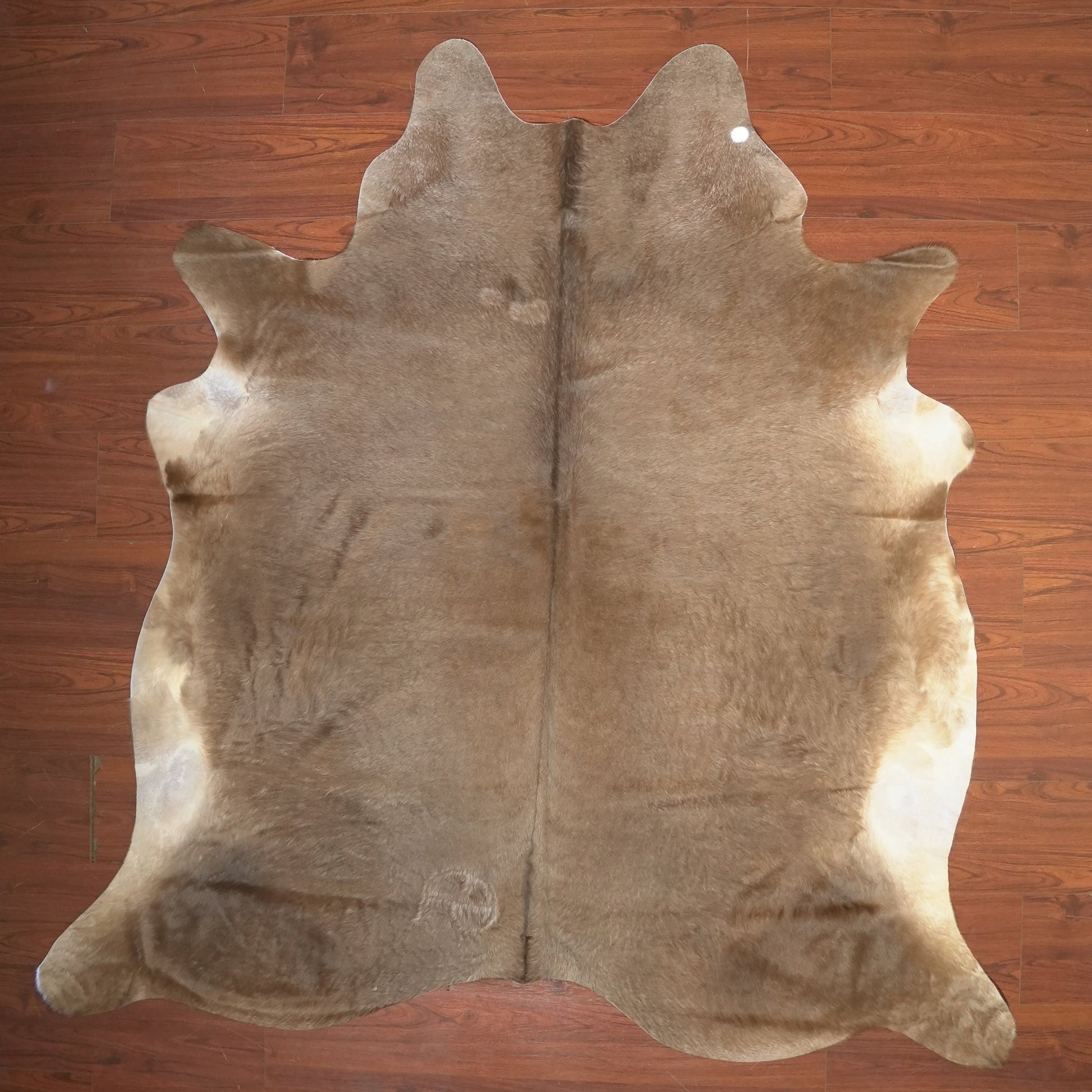 The Nguni Guy Nguni cowhide African decor Authentic cowhide Home decor Interior design Unique pattern Hand-selected Premium quality Natural beauty Exotic rug Genuine hide Statement piece Contemporary style Ethically sourced Sustainable decor Versatile accent Luxury rug Designer piece Modern aesthetic High-end craftsmanship Timeless elegance Designer home accents
