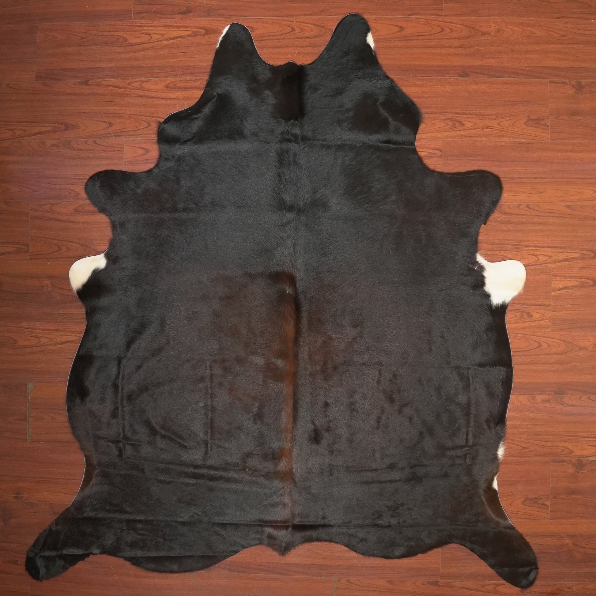 The Nguni Guy Nguni cowhide African decor Authentic cowhide Home decor Interior design Unique pattern Hand-selected Premium quality Natural beauty Exotic rug Genuine hide Statement piece Contemporary style Ethically sourced Sustainable decor Versatile accent Luxury rug Designer piece Modern aesthetic High-end craftsmanship Timeless elegance Designer home accents
