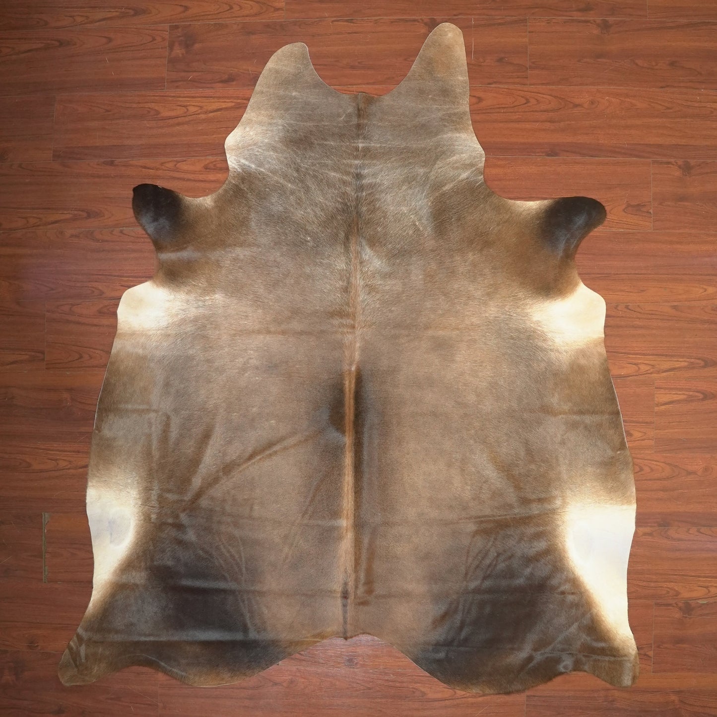 The Nguni Guy Nguni cowhide African decor Authentic cowhide Home decor Interior design Unique pattern Hand-selected Premium quality Natural beauty Exotic rug Genuine hide Statement piece Contemporary style Ethically sourced Sustainable decor Versatile accent Luxury rug Designer piece Modern aesthetic High-end craftsmanship Timeless elegance Designer home accents
