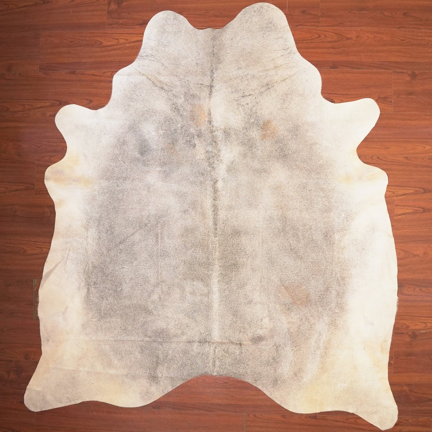 The Nguni Guy Nguni cowhide African decor Authentic cowhide Home decor Interior design Unique pattern Hand-selected Premium quality Natural beauty Exotic rug Genuine hide Statement piece Contemporary style Ethically sourced Sustainable decor Versatile accent Luxury rug Designer piece Modern aesthetic High-end craftsmanship Timeless elegance Designer home accents
