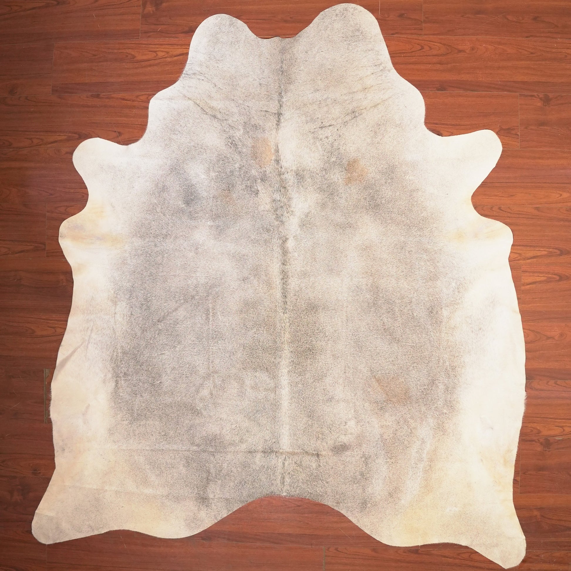 The Nguni Guy Nguni cowhide African decor Authentic cowhide Home decor Interior design Unique pattern Hand-selected Premium quality Natural beauty Exotic rug Genuine hide Statement piece Contemporary style Ethically sourced Sustainable decor Versatile accent Luxury rug Designer piece Modern aesthetic High-end craftsmanship Timeless elegance Designer home accents
