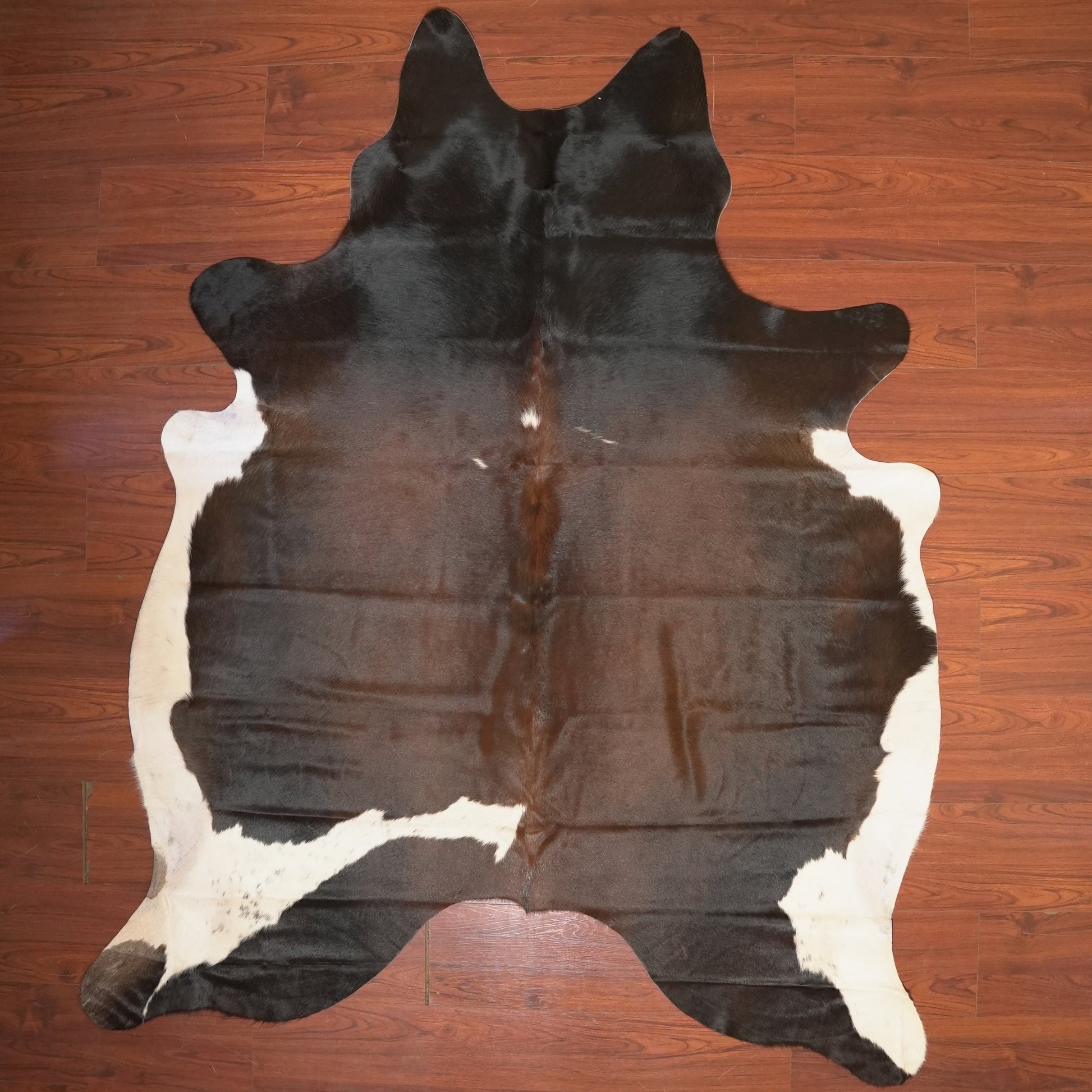 The Nguni Guy Nguni cowhide African decor Authentic cowhide Home decor Interior design Unique pattern Hand-selected Premium quality Natural beauty Exotic rug Genuine hide Statement piece Contemporary style Ethically sourced Sustainable decor Versatile accent Luxury rug Designer piece Modern aesthetic High-end craftsmanship Timeless elegance Designer home accents
