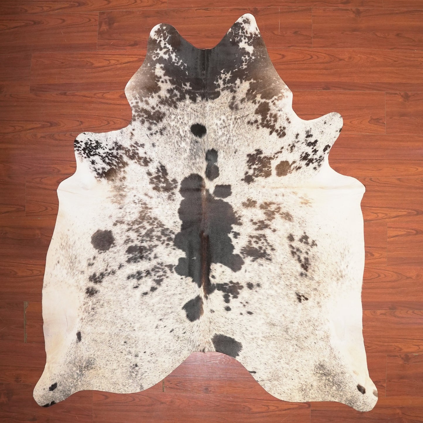 The Nguni Guy Nguni cowhide African decor Authentic cowhide Home decor Interior design Unique pattern Hand-selected Premium quality Natural beauty Exotic rug Genuine hide Statement piece Contemporary style Ethically sourced Sustainable decor Versatile accent Luxury rug Designer piece Modern aesthetic High-end craftsmanship Timeless elegance Designer home accents
