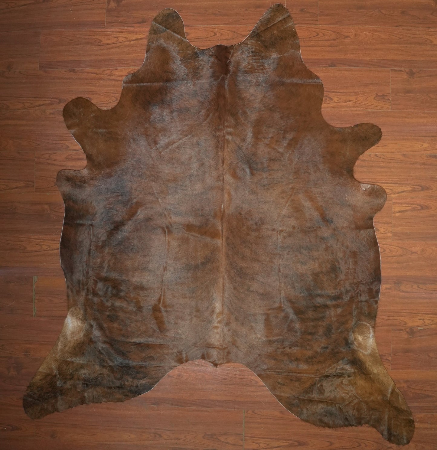 The Nguni Guy Nguni cowhide African decor Authentic cowhide Home decor Interior design Unique pattern Hand-selected Premium quality Natural beauty Exotic rug Genuine hide Statement piece Contemporary style Ethically sourced Sustainable decor Versatile accent Luxury rug Designer piece Modern aesthetic High-end craftsmanship Timeless elegance Designer home accents
