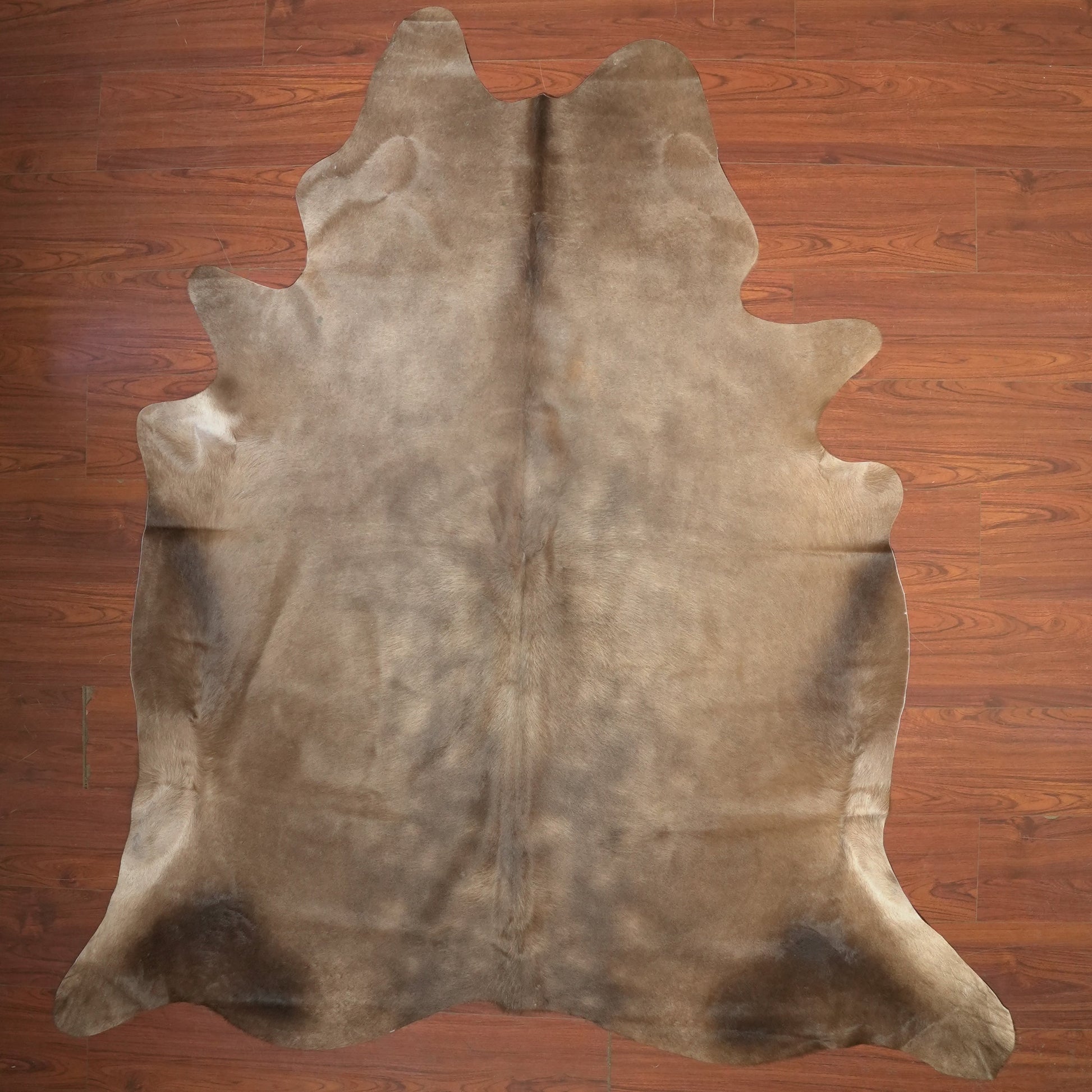 The Nguni Guy Nguni cowhide African decor Authentic cowhide Home decor Interior design Unique pattern Hand-selected Premium quality Natural beauty Exotic rug Genuine hide Statement piece Contemporary style Ethically sourced Sustainable decor Versatile accent Luxury rug Designer piece Modern aesthetic High-end craftsmanship Timeless elegance Designer home accents
