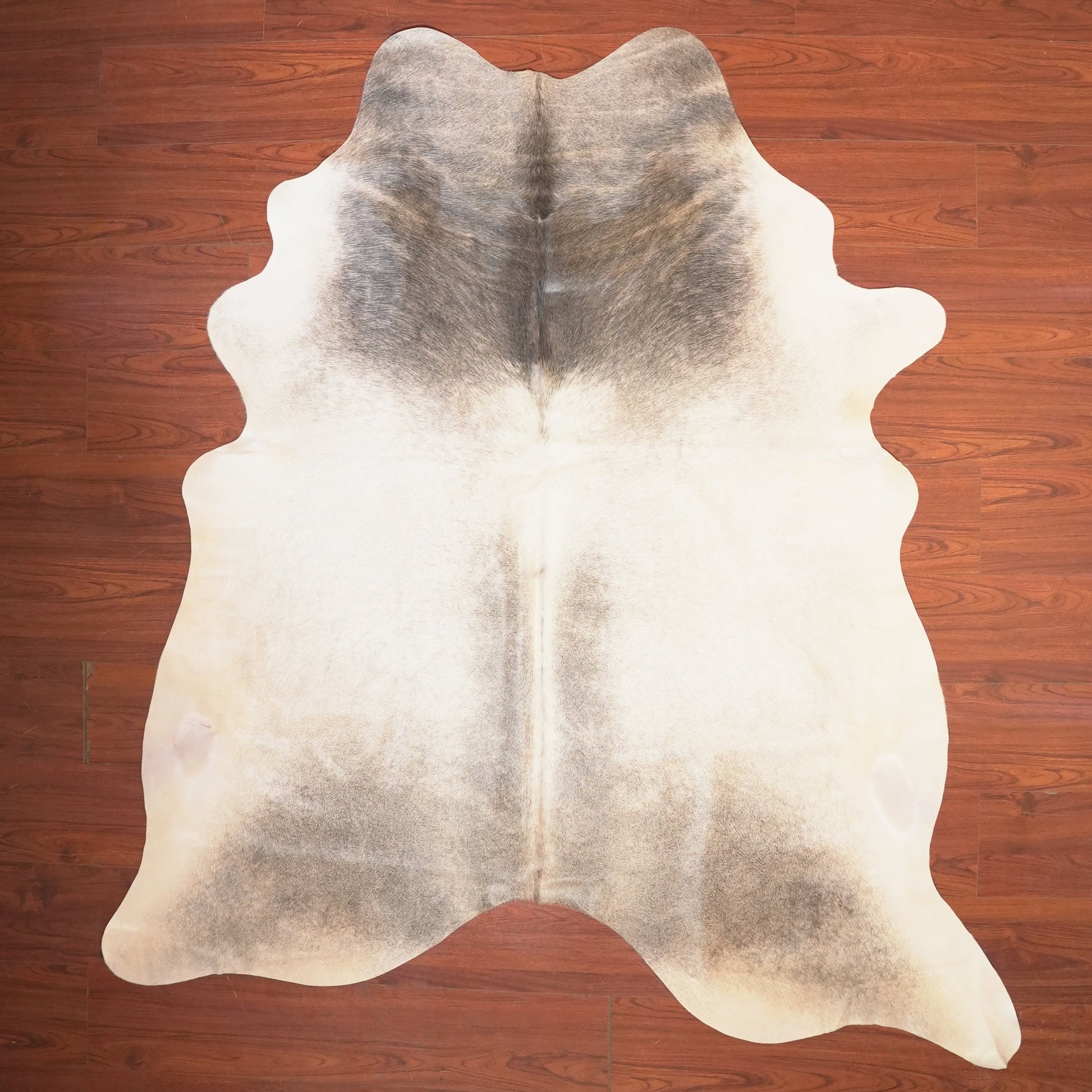 The Nguni Guy Nguni cowhide African decor Authentic cowhide Home decor Interior design Unique pattern Hand-selected Premium quality Natural beauty Exotic rug Genuine hide Statement piece Contemporary style Ethically sourced Sustainable decor Versatile accent Luxury rug Designer piece Modern aesthetic High-end craftsmanship Timeless elegance Designer home accents
