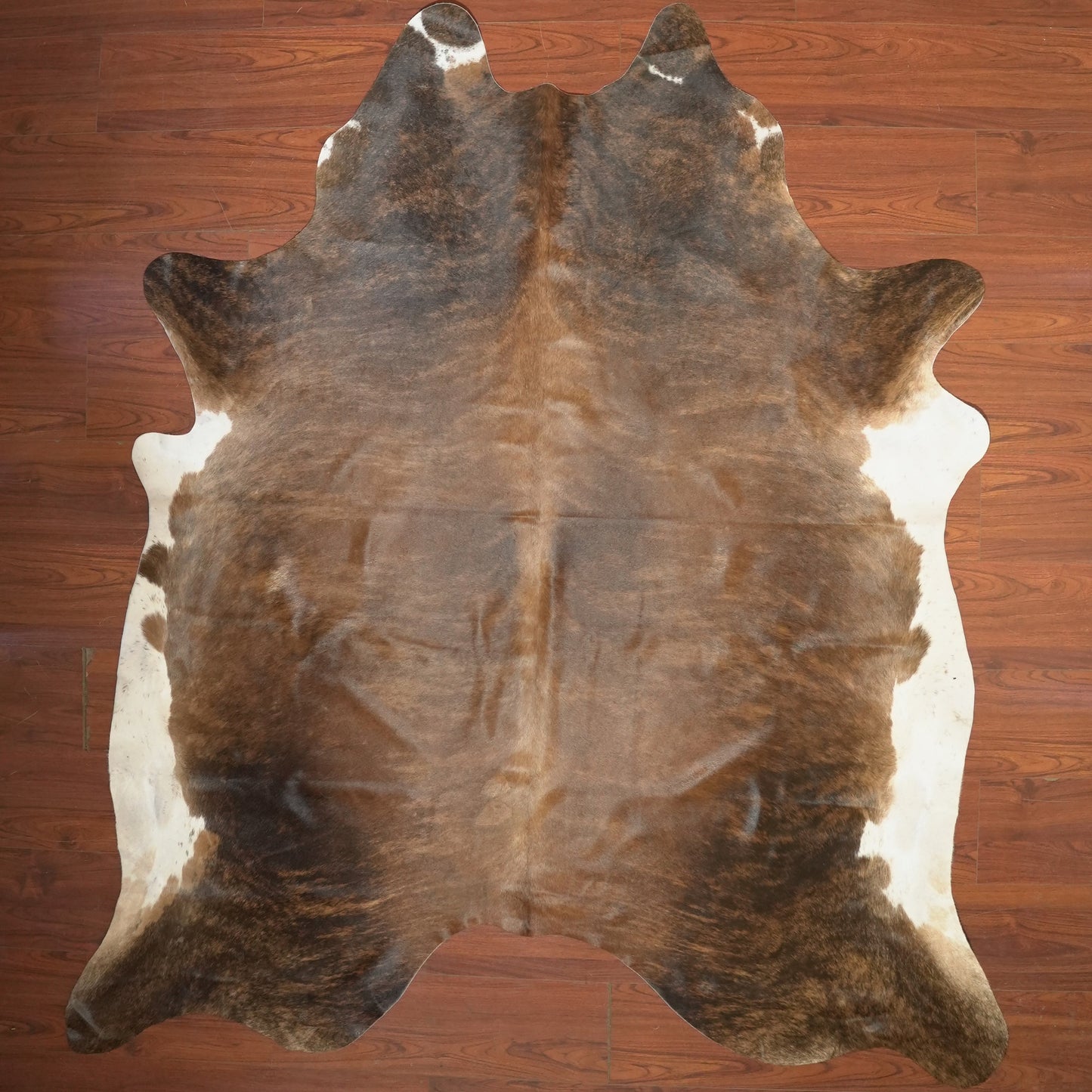The Nguni Guy Nguni cowhide African decor Authentic cowhide Home decor Interior design Unique pattern Hand-selected Premium quality Natural beauty Exotic rug Genuine hide Statement piece Contemporary style Ethically sourced Sustainable decor Versatile accent Luxury rug Designer piece Modern aesthetic High-end craftsmanship Timeless elegance Designer home accents
