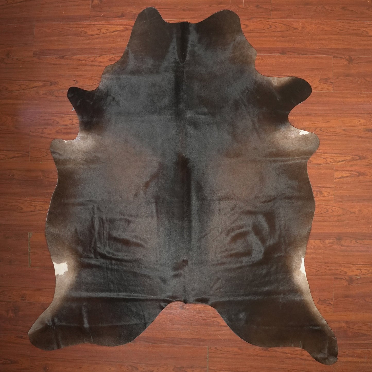 The Nguni Guy Nguni cowhide African decor Authentic cowhide Home decor Interior design Unique pattern Hand-selected Premium quality Natural beauty Exotic rug Genuine hide Statement piece Contemporary style Ethically sourced Sustainable decor Versatile accent Luxury rug Designer piece Modern aesthetic High-end craftsmanship Timeless elegance Designer home accents
