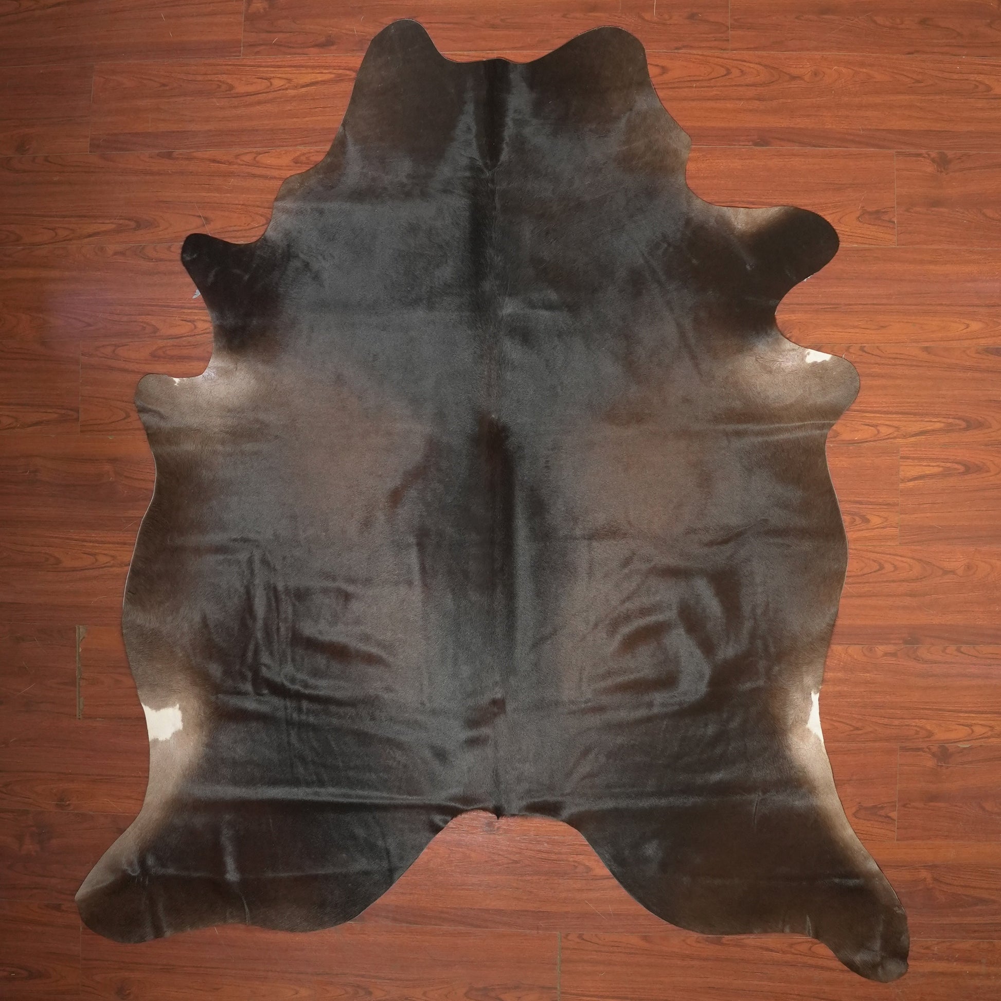 The Nguni Guy Nguni cowhide African decor Authentic cowhide Home decor Interior design Unique pattern Hand-selected Premium quality Natural beauty Exotic rug Genuine hide Statement piece Contemporary style Ethically sourced Sustainable decor Versatile accent Luxury rug Designer piece Modern aesthetic High-end craftsmanship Timeless elegance Designer home accents
