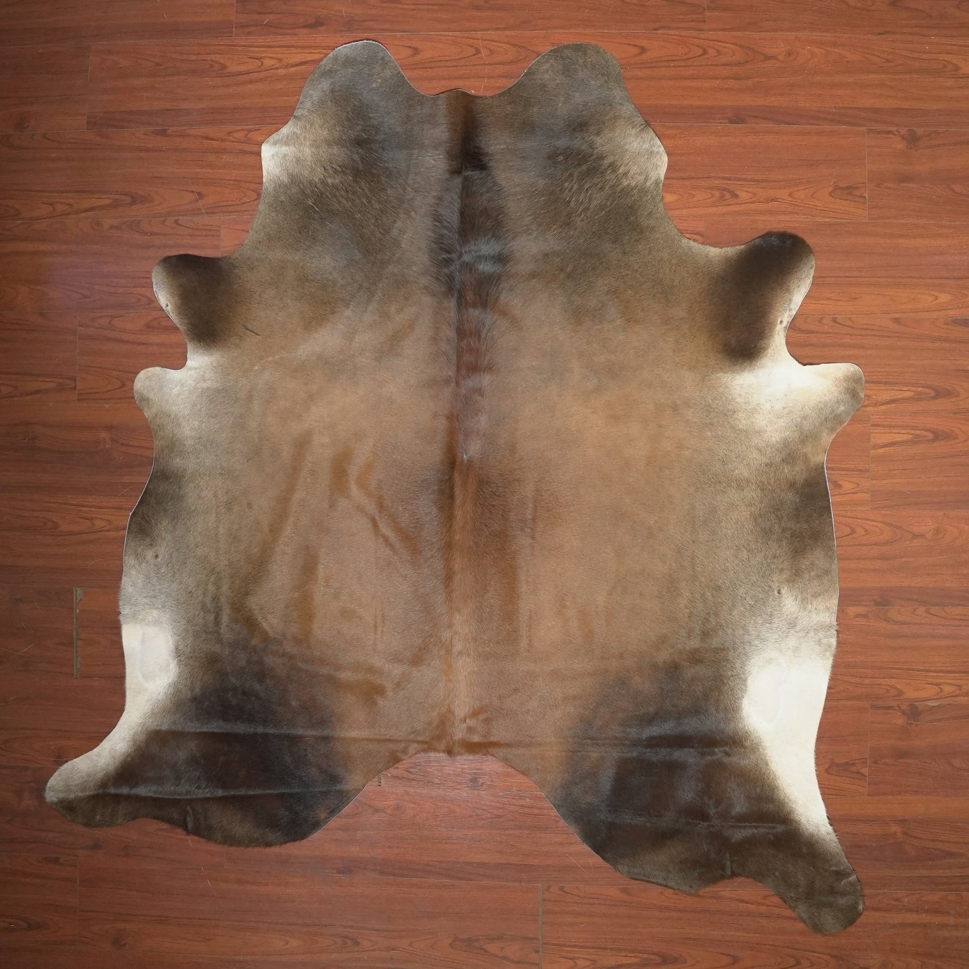 The Nguni Guy Nguni cowhide African decor Authentic cowhide Home decor Interior design Unique pattern Hand-selected Premium quality Natural beauty Exotic rug Genuine hide Statement piece Contemporary style Ethically sourced Sustainable decor Versatile accent Luxury rug Designer piece Modern aesthetic High-end craftsmanship Timeless elegance Designer home accents
