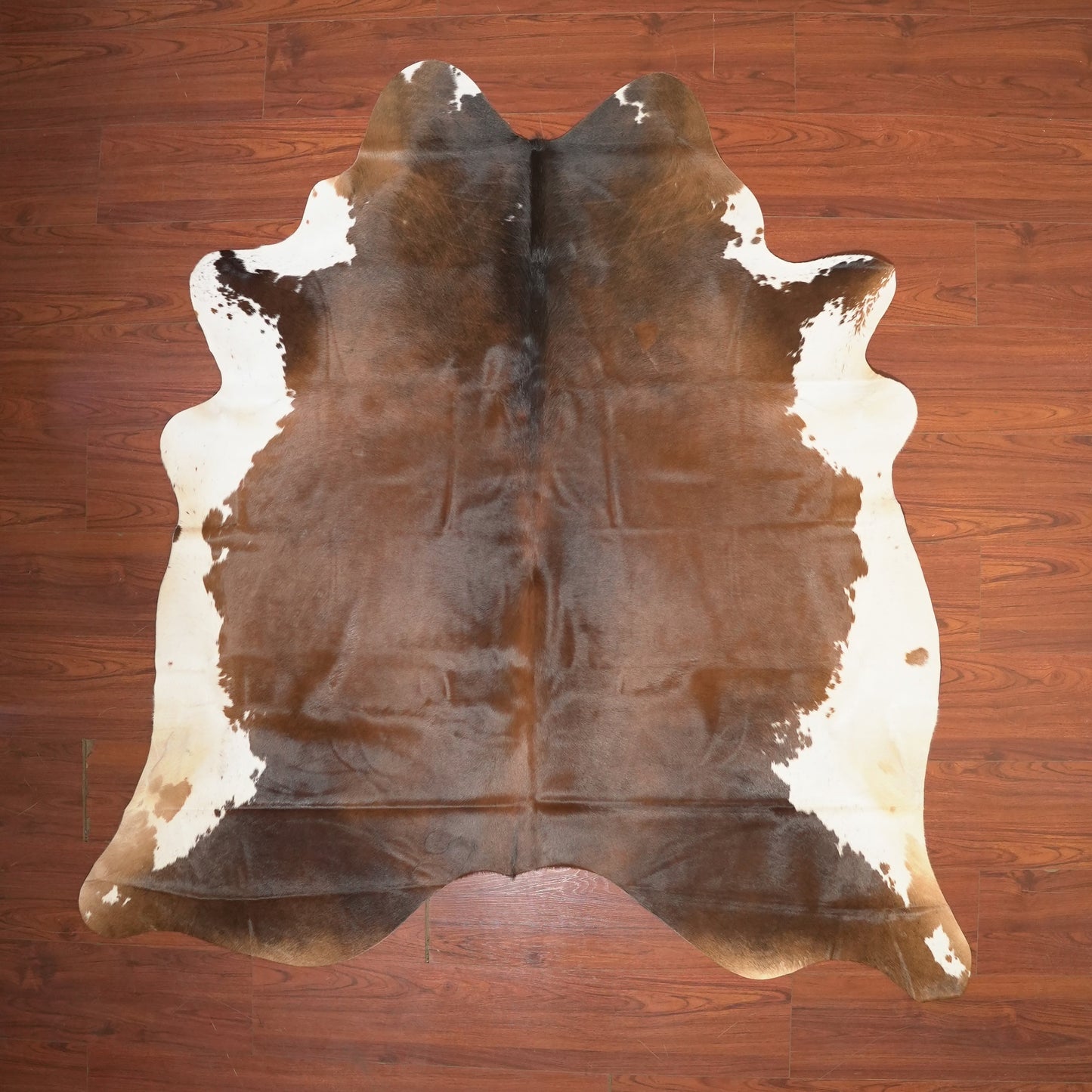 The Nguni Guy Nguni cowhide African decor Authentic cowhide Home decor Interior design Unique pattern Hand-selected Premium quality Natural beauty Exotic rug Genuine hide Statement piece Contemporary style Ethically sourced Sustainable decor Versatile accent Luxury rug Designer piece Modern aesthetic High-end craftsmanship Timeless elegance Designer home accents
