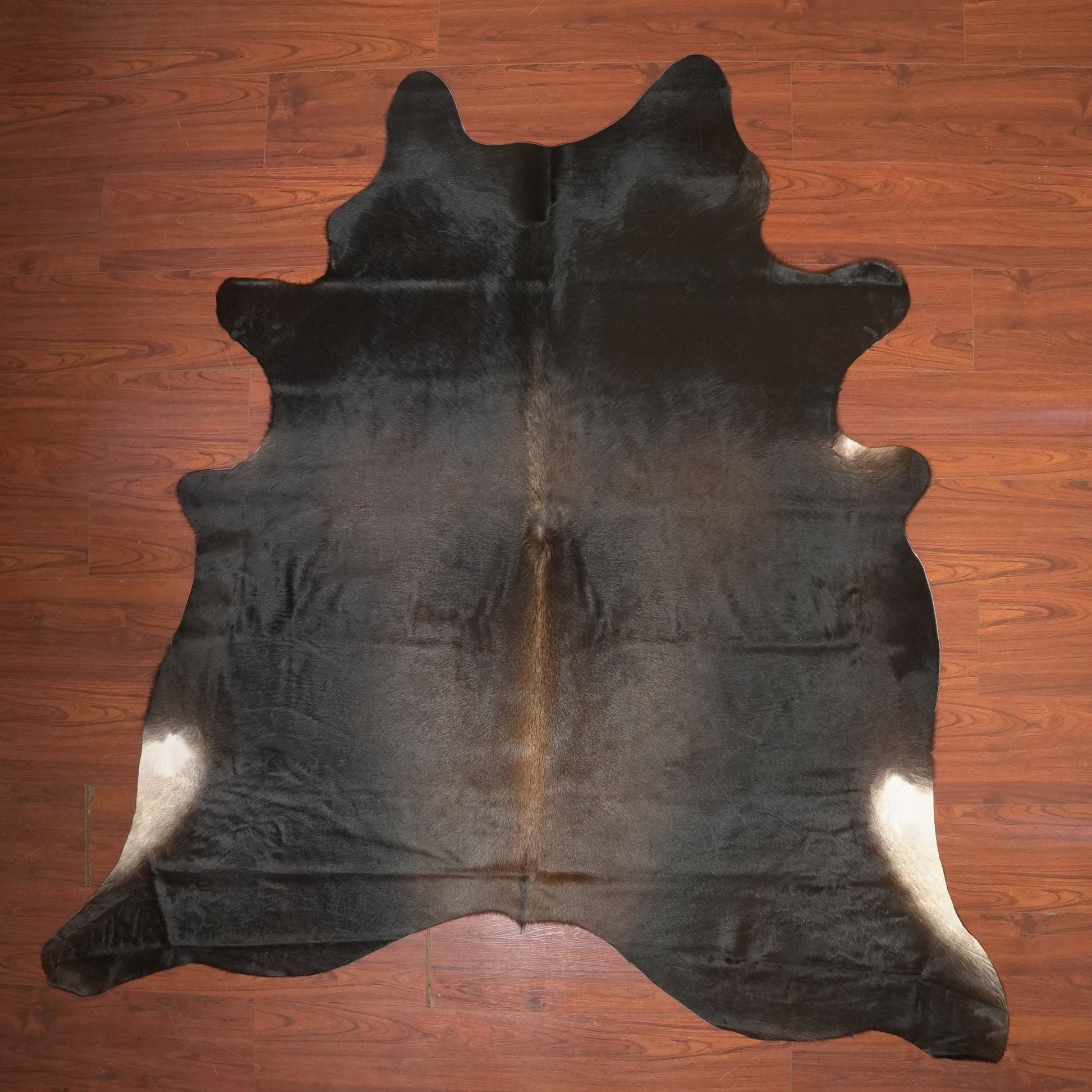 The Nguni Guy Nguni cowhide African decor Authentic cowhide Home decor Interior design Unique pattern Hand-selected Premium quality Natural beauty Exotic rug Genuine hide Statement piece Contemporary style Ethically sourced Sustainable decor Versatile accent Luxury rug Designer piece Modern aesthetic High-end craftsmanship Timeless elegance Designer home accents
