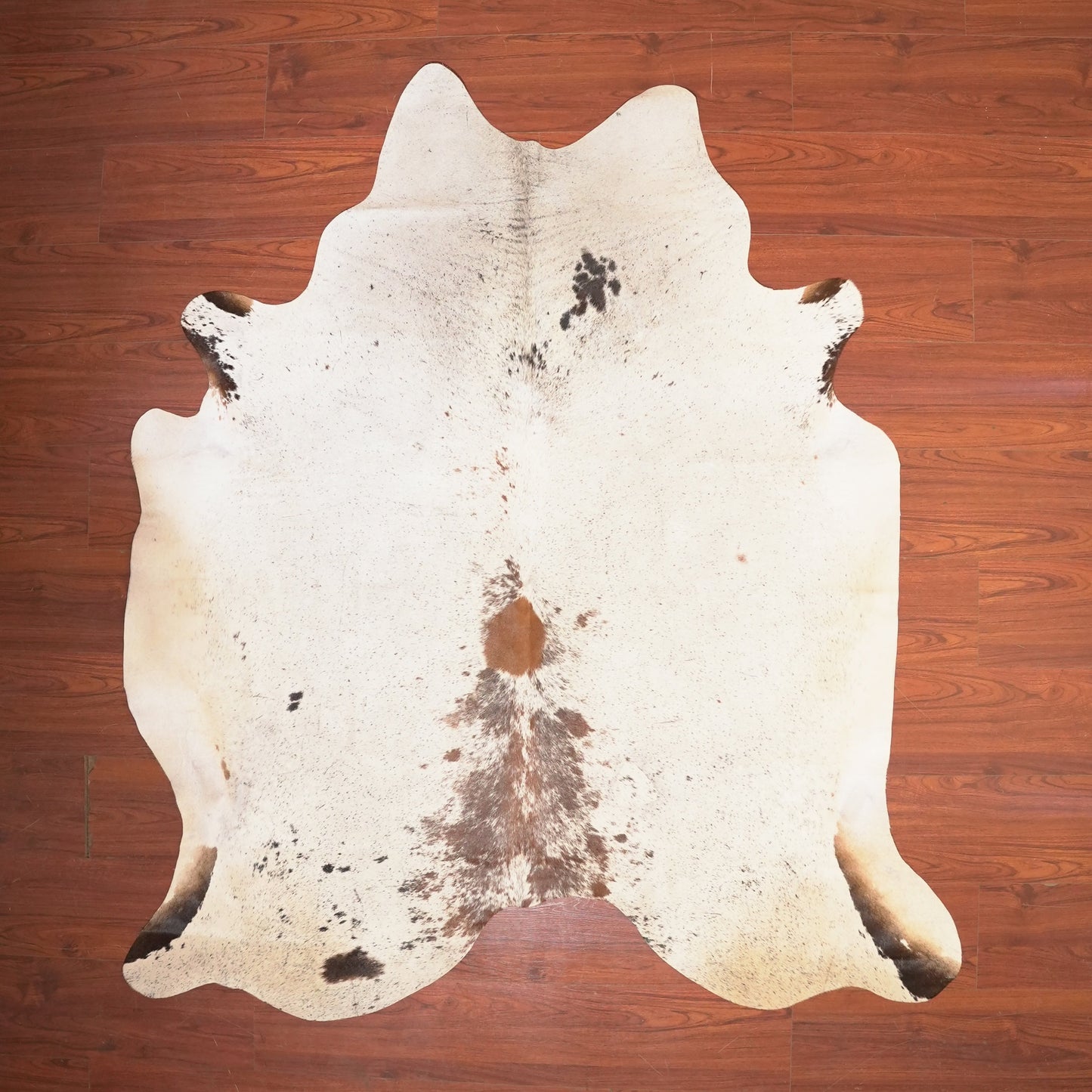 The Nguni Guy Nguni cowhide African decor Authentic cowhide Home decor Interior design Unique pattern Hand-selected Premium quality Natural beauty Exotic rug Genuine hide Statement piece Contemporary style Ethically sourced Sustainable decor Versatile accent Luxury rug Designer piece Modern aesthetic High-end craftsmanship Timeless elegance Designer home accents
