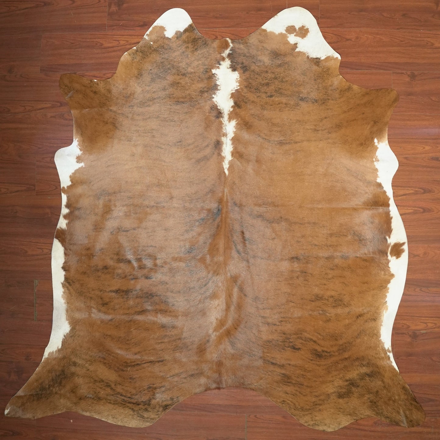 The Nguni Guy Nguni cowhide African decor Authentic cowhide Home decor Interior design Unique pattern Hand-selected Premium quality Natural beauty Exotic rug Genuine hide Statement piece Contemporary style Ethically sourced Sustainable decor Versatile accent Luxury rug Designer piece Modern aesthetic High-end craftsmanship Timeless elegance Designer home accents

