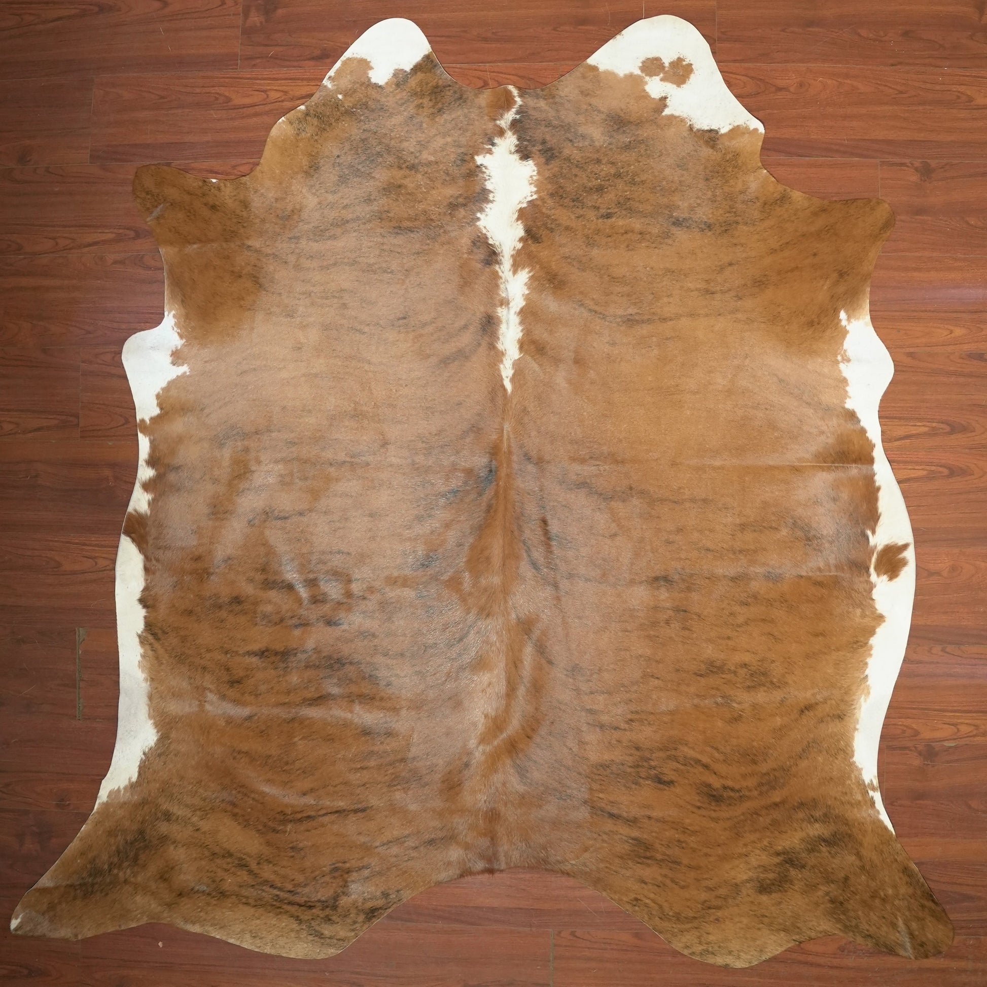 The Nguni Guy Nguni cowhide African decor Authentic cowhide Home decor Interior design Unique pattern Hand-selected Premium quality Natural beauty Exotic rug Genuine hide Statement piece Contemporary style Ethically sourced Sustainable decor Versatile accent Luxury rug Designer piece Modern aesthetic High-end craftsmanship Timeless elegance Designer home accents
