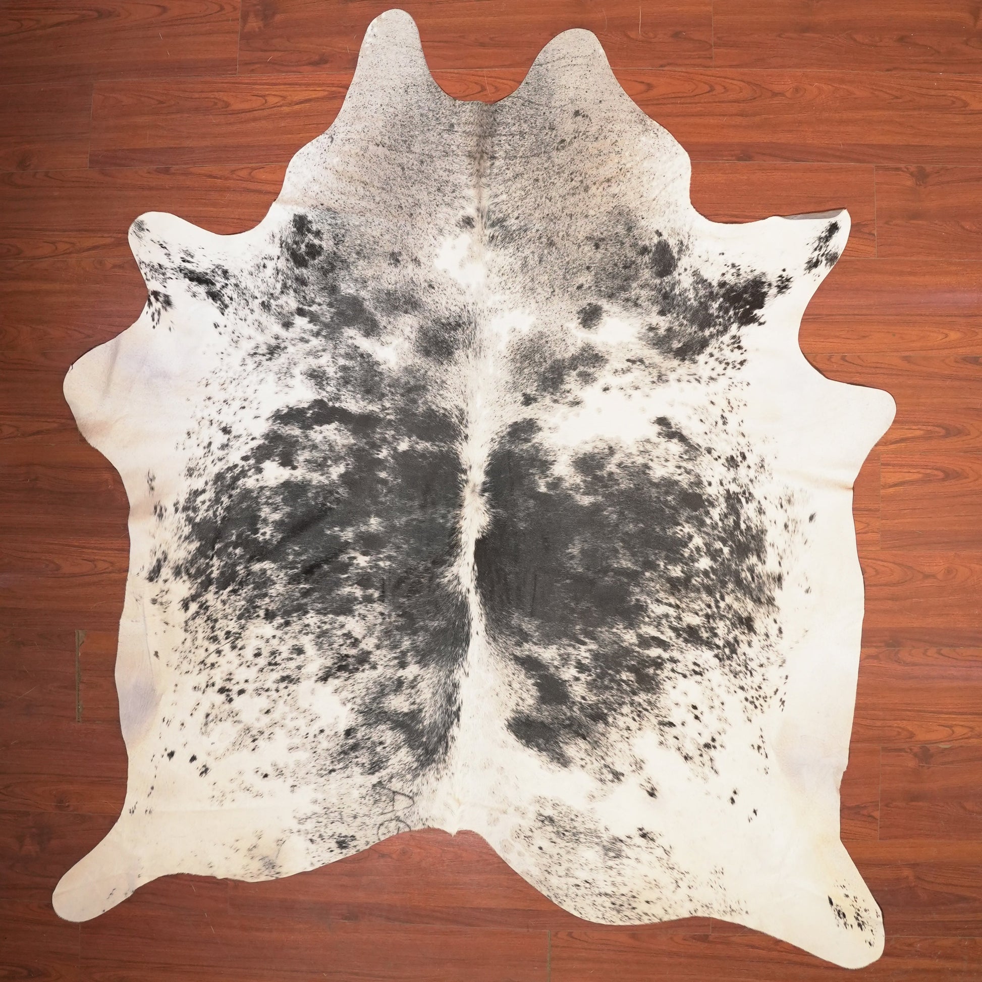 The Nguni Guy Nguni cowhide African decor Authentic cowhide Home decor Interior design Unique pattern Hand-selected Premium quality Natural beauty Exotic rug Genuine hide Statement piece Contemporary style Ethically sourced Sustainable decor Versatile accent Luxury rug Designer piece Modern aesthetic High-end craftsmanship Timeless elegance Designer home accents
