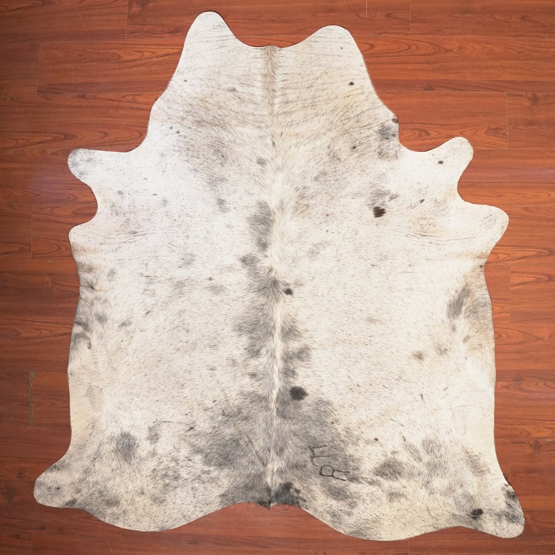 The Nguni Guy Nguni cowhide African decor Authentic cowhide Home decor Interior design Unique pattern Hand-selected Premium quality Natural beauty Exotic rug Genuine hide Statement piece Contemporary style Ethically sourced Sustainable decor Versatile accent Luxury rug Designer piece Modern aesthetic High-end craftsmanship Timeless elegance Designer home accents
