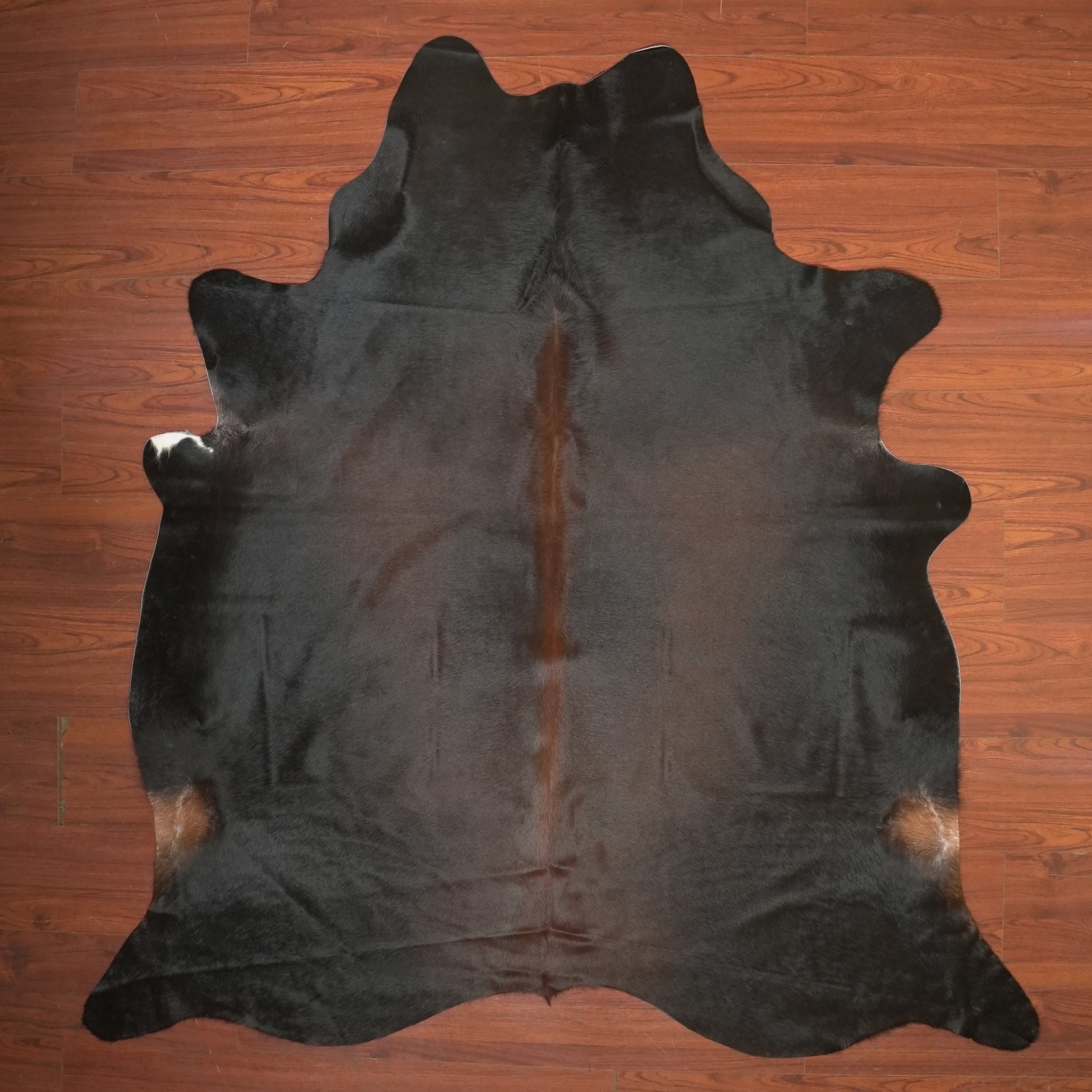 The Nguni Guy Nguni cowhide African decor Authentic cowhide Home decor Interior design Unique pattern Hand-selected Premium quality Natural beauty Exotic rug Genuine hide Statement piece Contemporary style Ethically sourced Sustainable decor Versatile accent Luxury rug Designer piece Modern aesthetic High-end craftsmanship Timeless elegance Designer home accents
