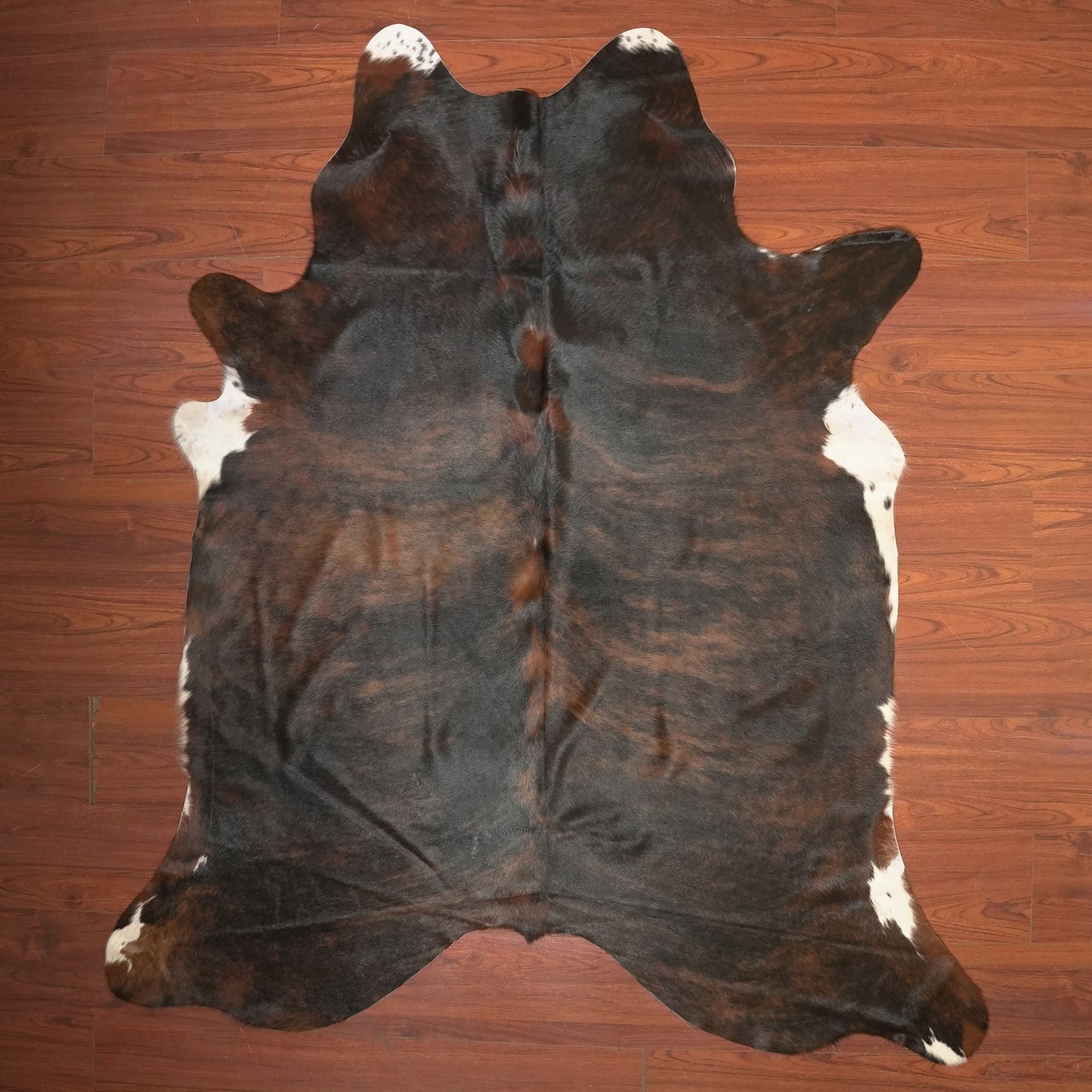 The Nguni Guy Nguni cowhide African decor Authentic cowhide Home decor Interior design Unique pattern Hand-selected Premium quality Natural beauty Exotic rug Genuine hide Statement piece Contemporary style Ethically sourced Sustainable decor Versatile accent Luxury rug Designer piece Modern aesthetic High-end craftsmanship Timeless elegance Designer home accents
