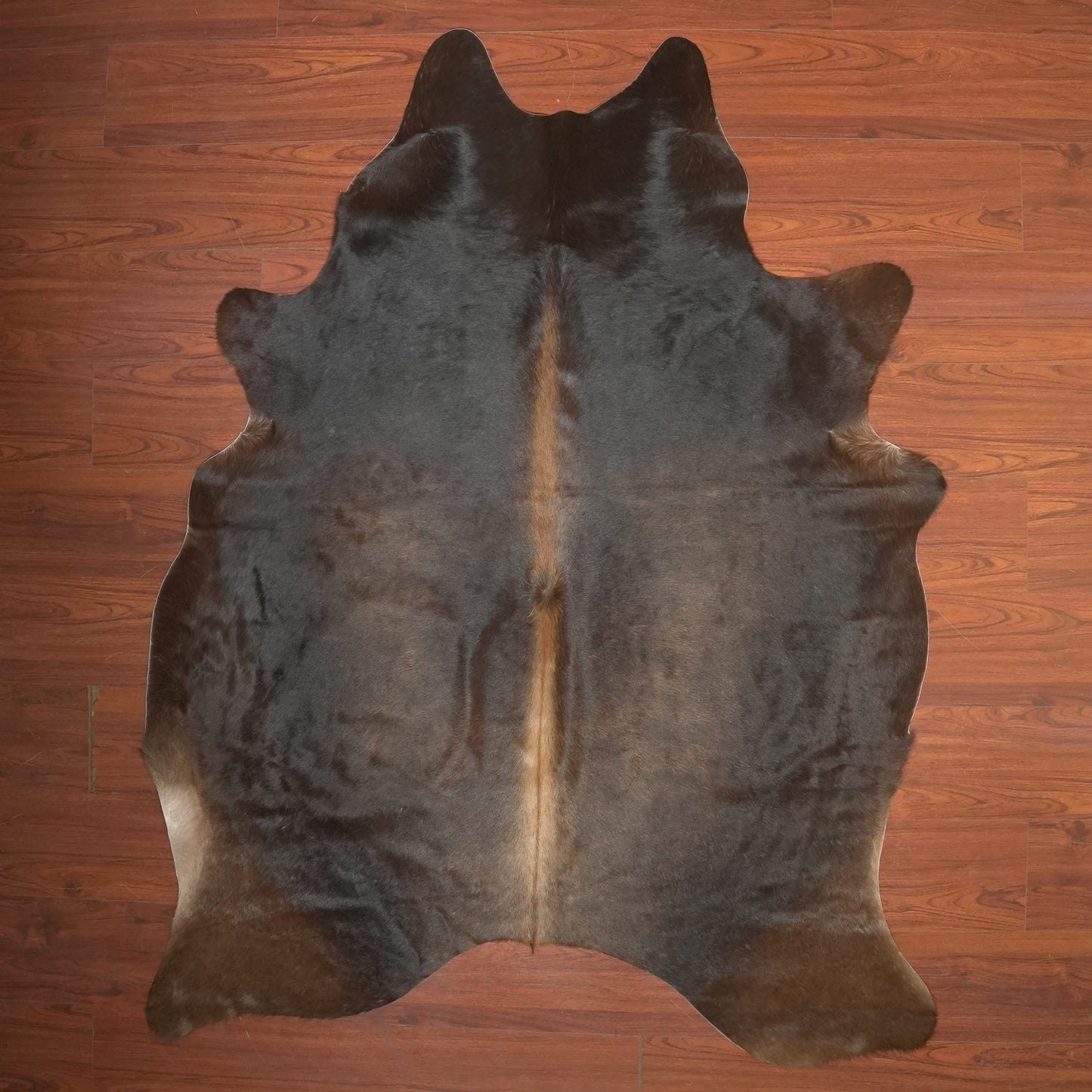 The Nguni Guy Nguni cowhide African decor Authentic cowhide Home decor Interior design Unique pattern Hand-selected Premium quality Natural beauty Exotic rug Genuine hide Statement piece Contemporary style Ethically sourced Sustainable decor Versatile accent Luxury rug Designer piece Modern aesthetic High-end craftsmanship Timeless elegance Designer home accents

