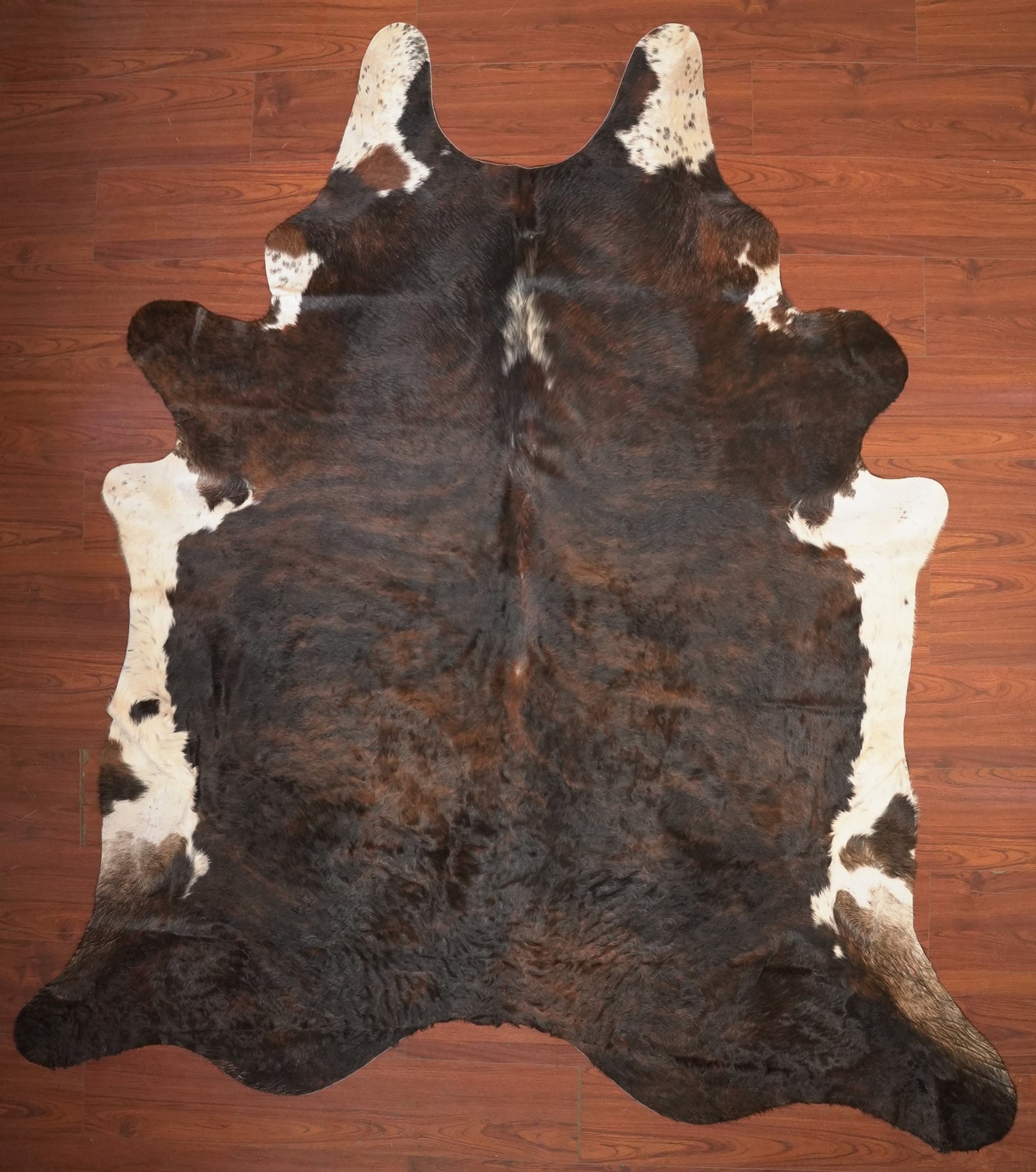 The Nguni Guy Nguni cowhide African decor Authentic cowhide Home decor Interior design Unique pattern Hand-selected Premium quality Natural beauty Exotic rug Genuine hide Statement piece Contemporary style Ethically sourced Sustainable decor Versatile accent Luxury rug Designer piece Modern aesthetic High-end craftsmanship Timeless elegance Designer home accents
