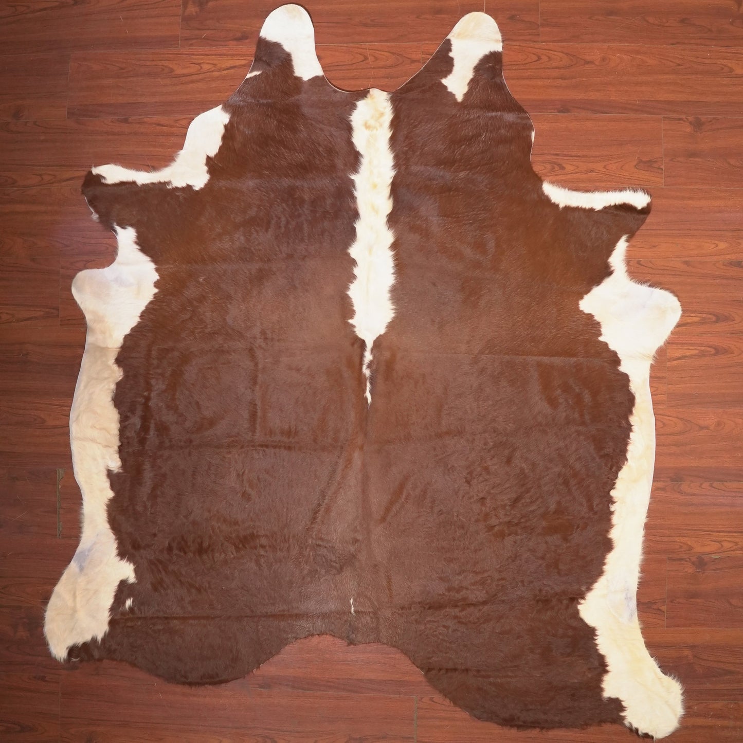 The Nguni Guy Nguni cowhide African decor Authentic cowhide Home decor Interior design Unique pattern Hand-selected Premium quality Natural beauty Exotic rug Genuine hide Statement piece Contemporary style Ethically sourced Sustainable decor Versatile accent Luxury rug Designer piece Modern aesthetic High-end craftsmanship Timeless elegance Designer home accents
