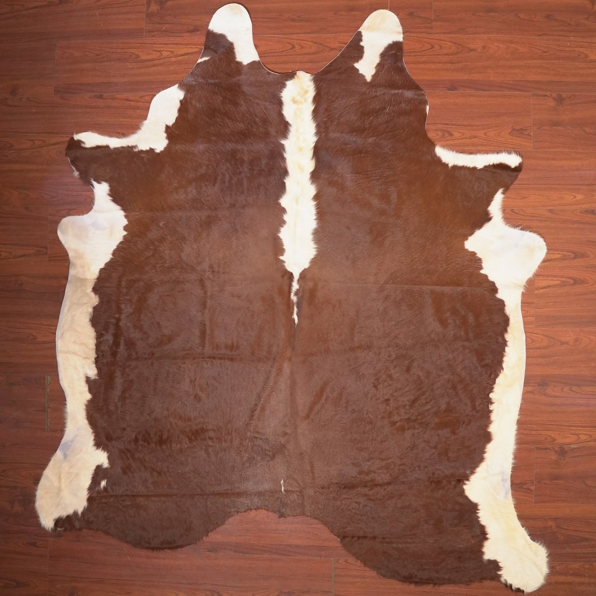 The Nguni Guy Nguni cowhide African decor Authentic cowhide Home decor Interior design Unique pattern Hand-selected Premium quality Natural beauty Exotic rug Genuine hide Statement piece Contemporary style Ethically sourced Sustainable decor Versatile accent Luxury rug Designer piece Modern aesthetic High-end craftsmanship Timeless elegance Designer home accents
