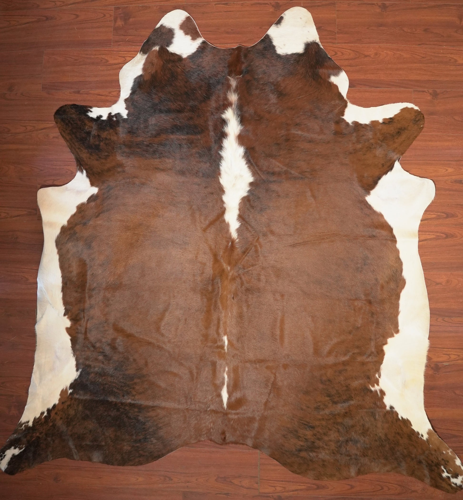 The Nguni Guy Nguni cowhide African decor Authentic cowhide Home decor Interior design Unique pattern Hand-selected Premium quality Natural beauty Exotic rug Genuine hide Statement piece Contemporary style Ethically sourced Sustainable decor Versatile accent Luxury rug Designer piece Modern aesthetic High-end craftsmanship Timeless elegance Designer home accents
