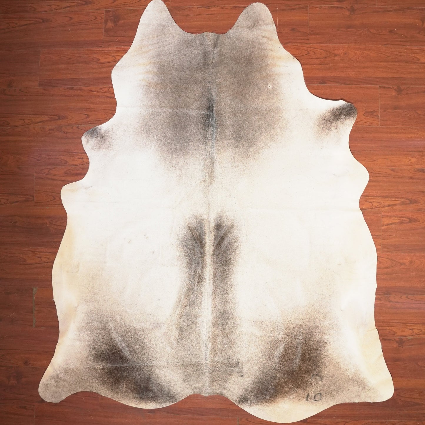 The Nguni Guy Nguni cowhide African decor Authentic cowhide Home decor Interior design Unique pattern Hand-selected Premium quality Natural beauty Exotic rug Genuine hide Statement piece Contemporary style Ethically sourced Sustainable decor Versatile accent Luxury rug Designer piece Modern aesthetic High-end craftsmanship Timeless elegance Designer home accents