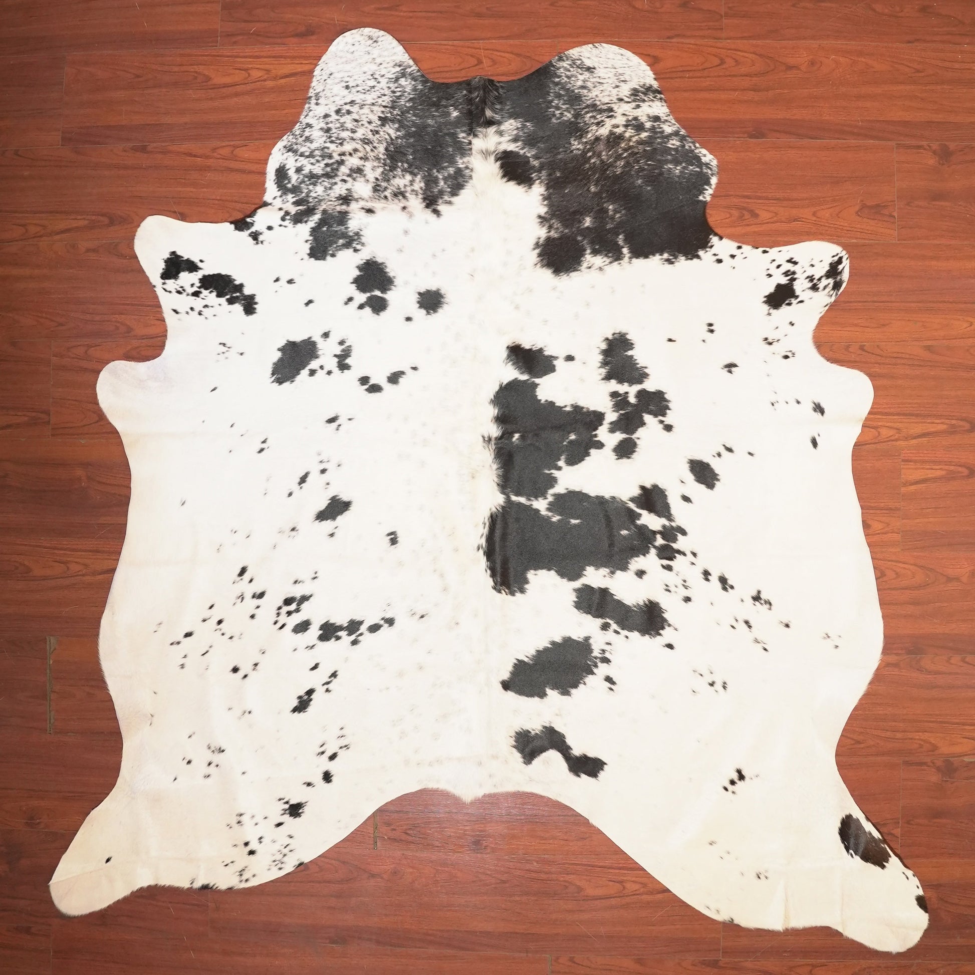 The Nguni Guy Nguni cowhide African decor Authentic cowhide Home decor Interior design Unique pattern Hand-selected Premium quality Natural beauty Exotic rug Genuine hide Statement piece Contemporary style Ethically sourced Sustainable decor Versatile accent Luxury rug Designer piece Modern aesthetic High-end craftsmanship Timeless elegance Designer home accents
