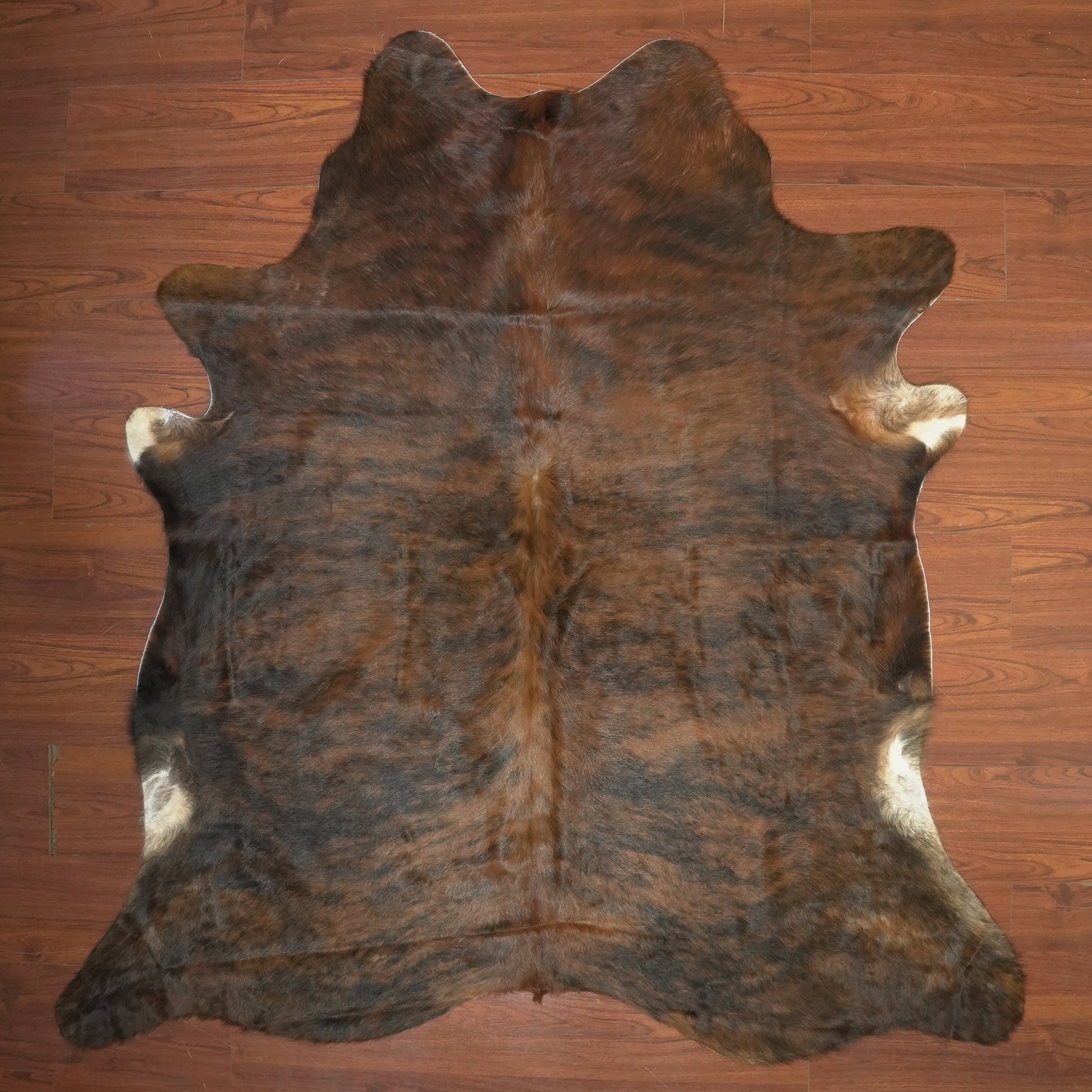 The Nguni Guy Nguni cowhide African decor Authentic cowhide Home decor Interior design Unique pattern Hand-selected Premium quality Natural beauty Exotic rug Genuine hide Statement piece Contemporary style Ethically sourced Sustainable decor Versatile accent Luxury rug Designer piece Modern aesthetic High-end craftsmanship Timeless elegance Designer home accents
