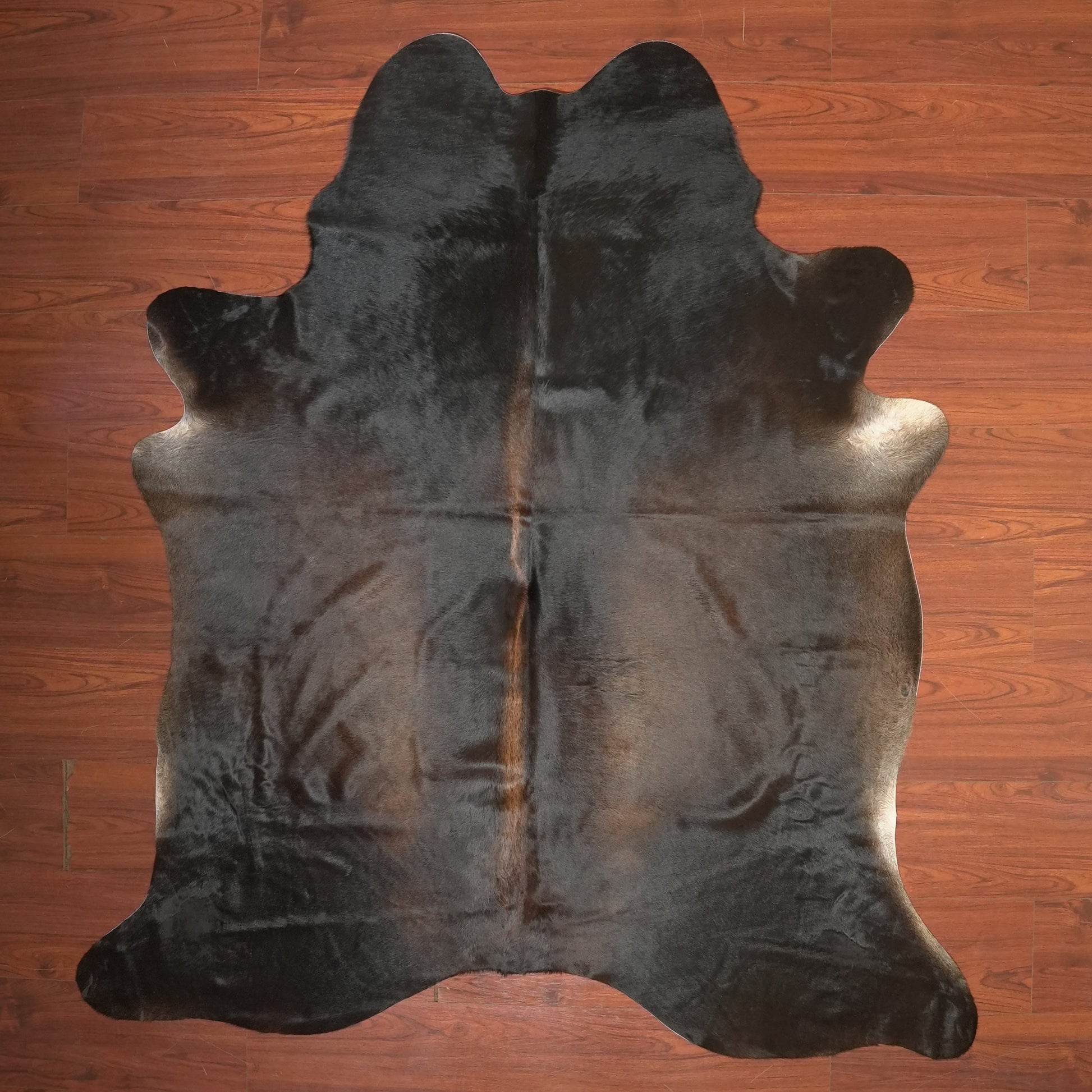 The Nguni Guy Nguni cowhide African decor Authentic cowhide Home decor Interior design Unique pattern Hand-selected Premium quality Natural beauty Exotic rug Genuine hide Statement piece Contemporary style Ethically sourced Sustainable decor Versatile accent Luxury rug Designer piece Modern aesthetic High-end craftsmanship Timeless elegance Designer home accents
