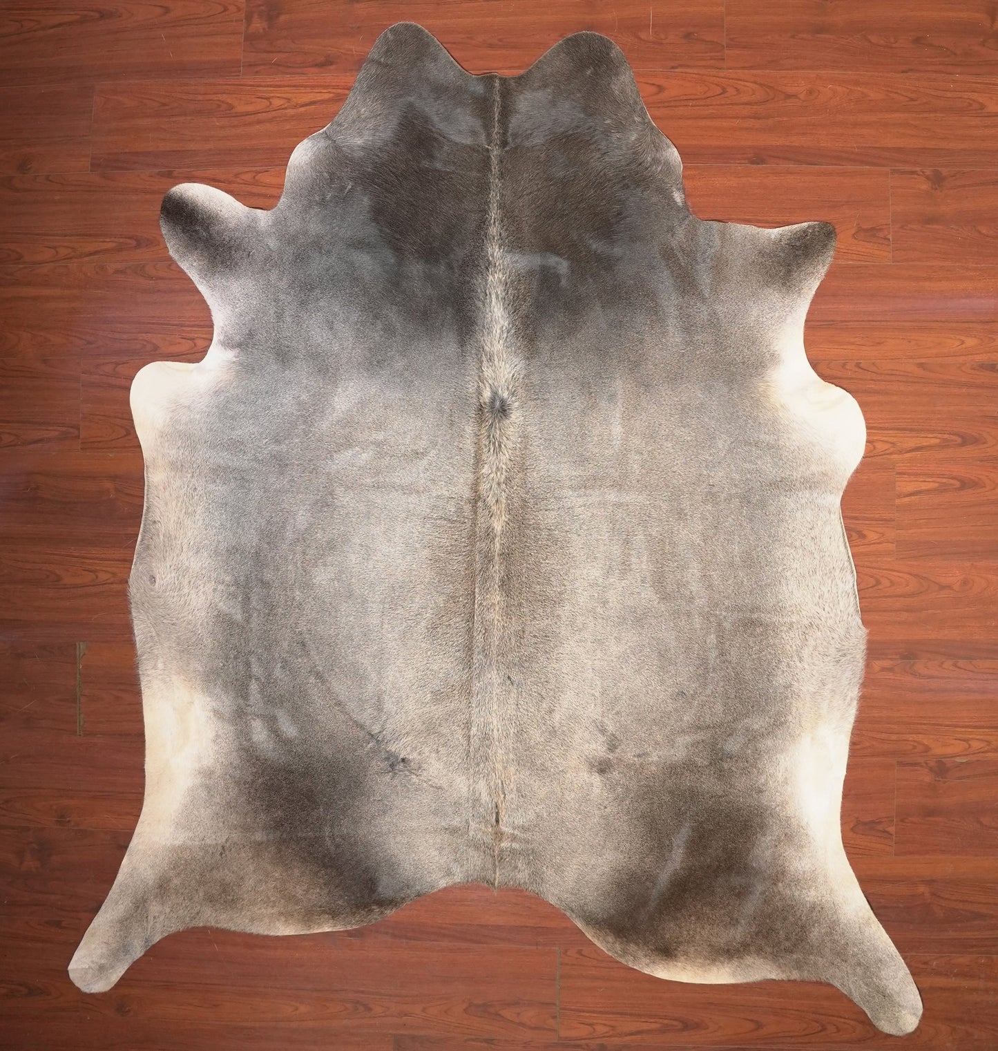 The Nguni Guy Nguni cowhide African decor Authentic cowhide Home decor Interior design Unique pattern Hand-selected Premium quality Natural beauty Exotic rug Genuine hide Statement piece Contemporary style Ethically sourced Sustainable decor Versatile accent Luxury rug Designer piece Modern aesthetic High-end craftsmanship Timeless elegance Designer home accents
