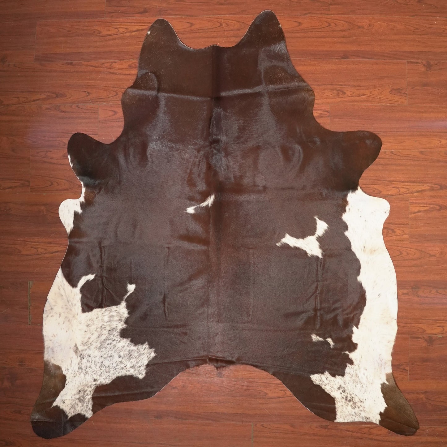 The Nguni Guy Nguni cowhide African decor Authentic cowhide Home decor Interior design Unique pattern Hand-selected Premium quality Natural beauty Exotic rug Genuine hide Statement piece Contemporary style Ethically sourced Sustainable decor Versatile accent Luxury rug Designer piece Modern aesthetic High-end craftsmanship Timeless elegance Designer home accents
